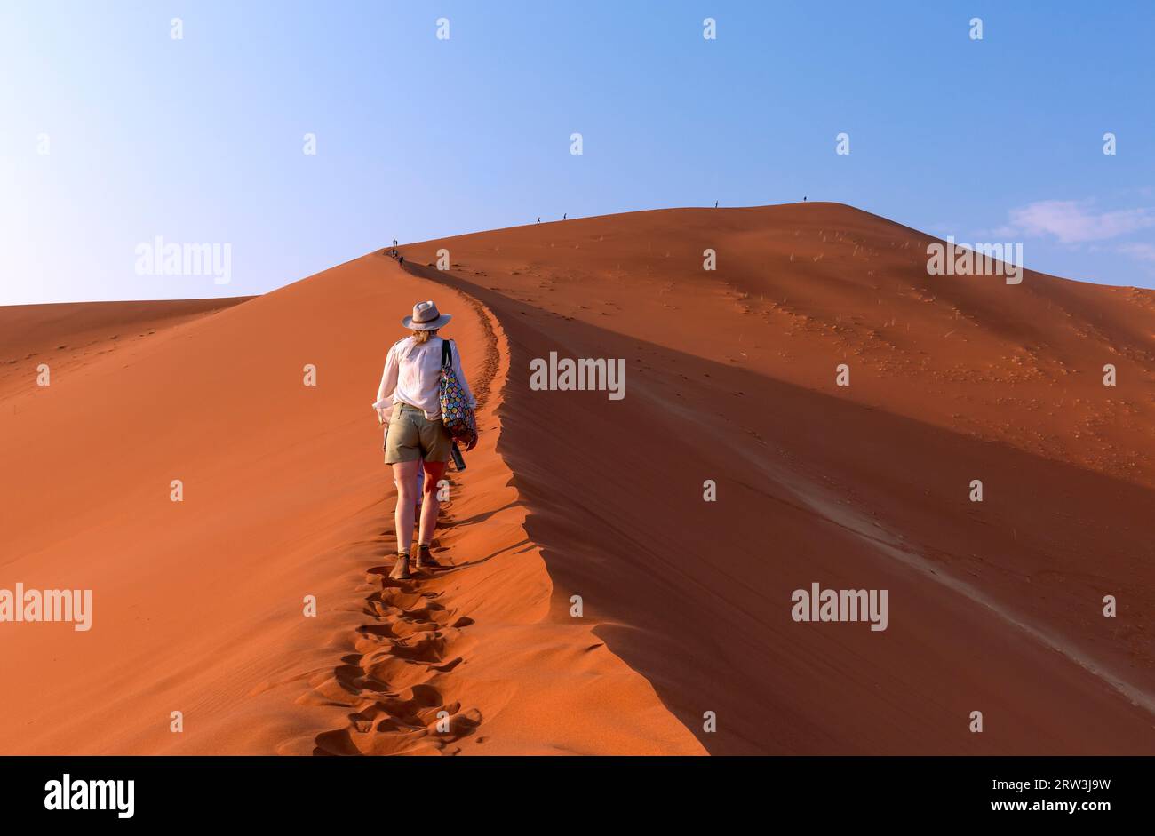 Passeggiata ourist sulle dune di sabbia di Sossusvlei, nel deserto del Namib, nel Namib Naukluft National Park, in Namibia. Viaggiatori, avventure e vacanze ad Afri Foto Stock