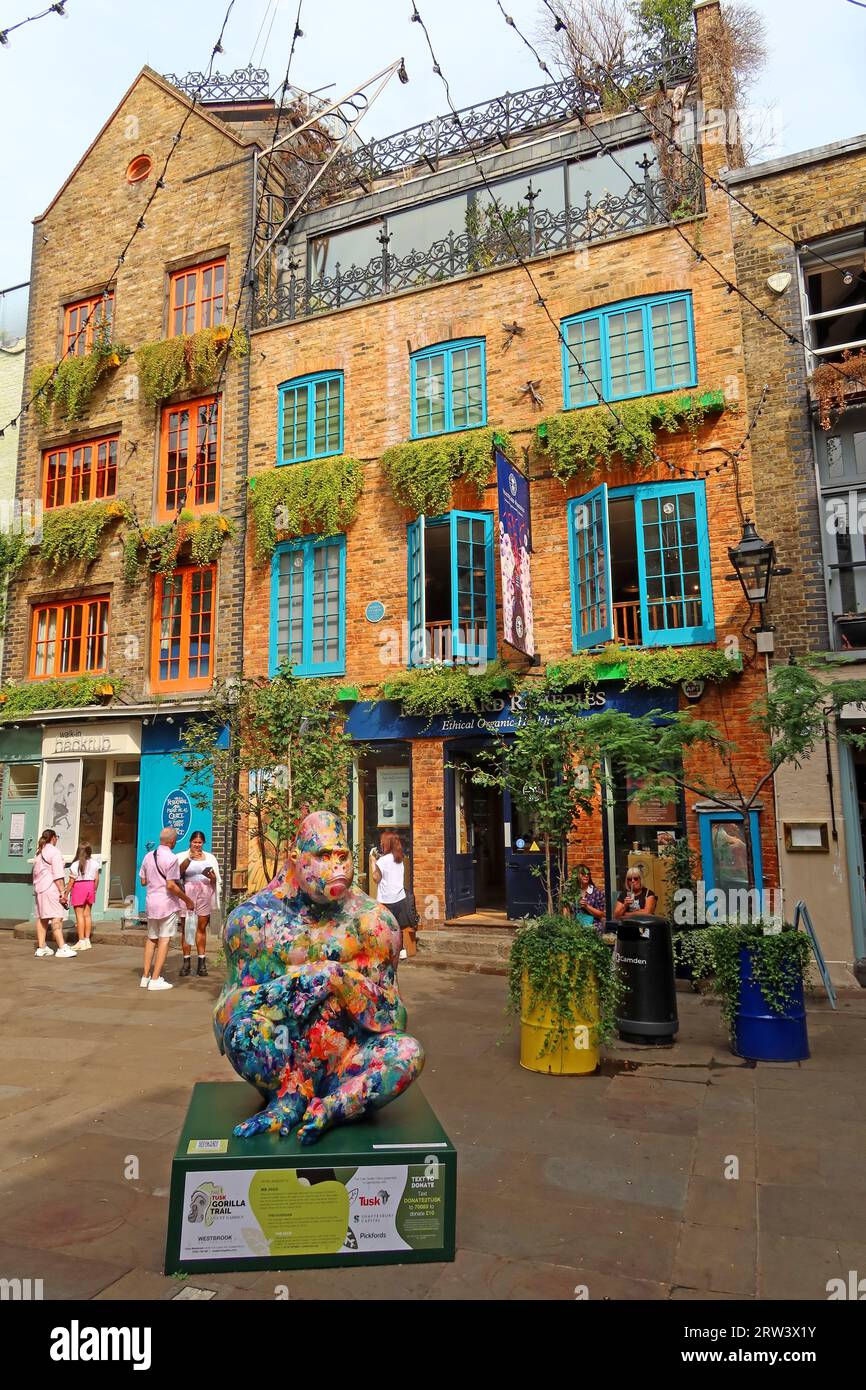 Case alte e colorate a Neals Yard, Covent Garden, Londra, Inghilterra, Regno Unito, WC2H 9DP Foto Stock