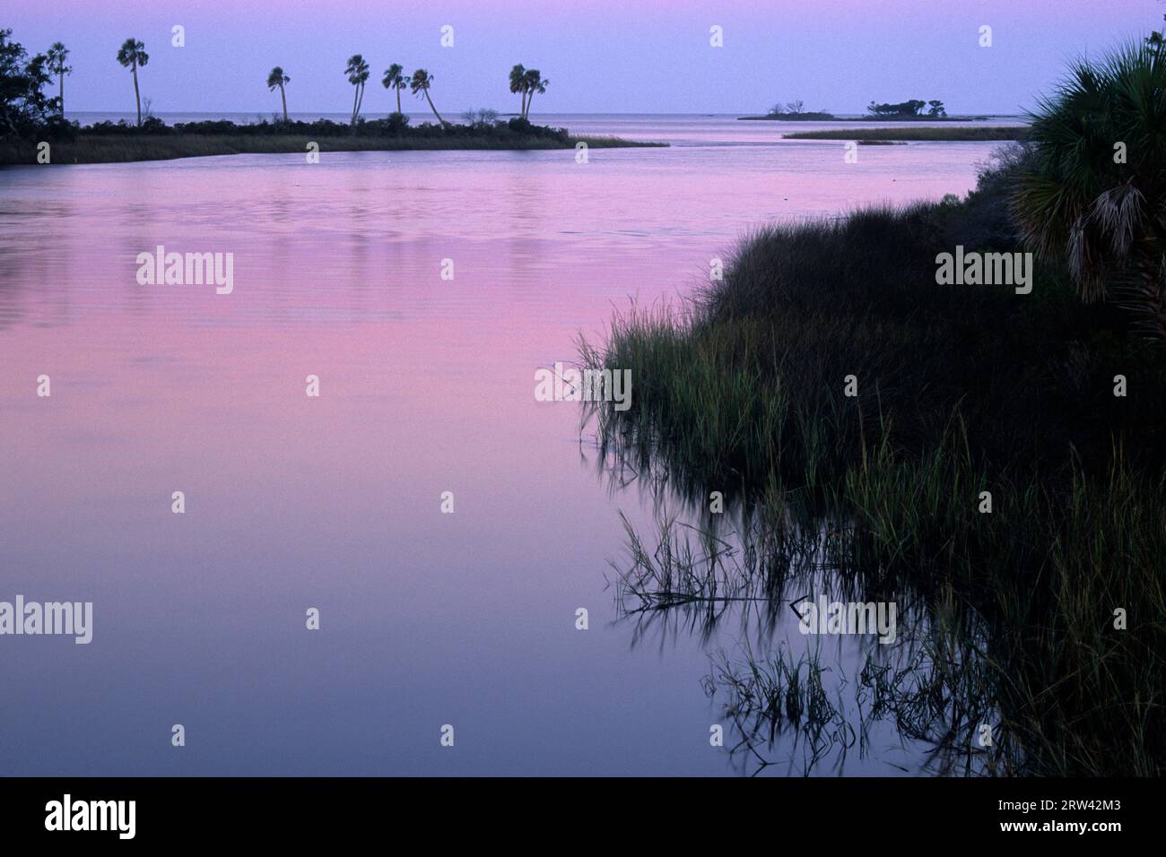 Alba sulla palude salata, Vassey Creek Park, Yankeetown, Florida Foto Stock