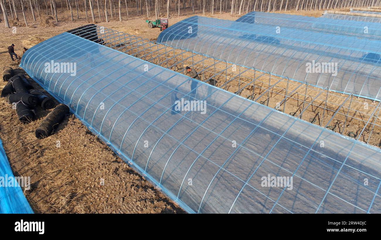 Gli agricoltori stanno costruendo serre, scattando foto aeree Foto Stock