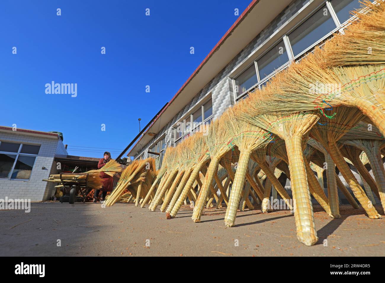 LUANNAN COUNTY, Cina - 11 dicembre 2020: Il lavoratore sta asciugando la scopa grande in un laboratorio, LUANNAN COUNTY, provincia di Hebei, Cina Foto Stock