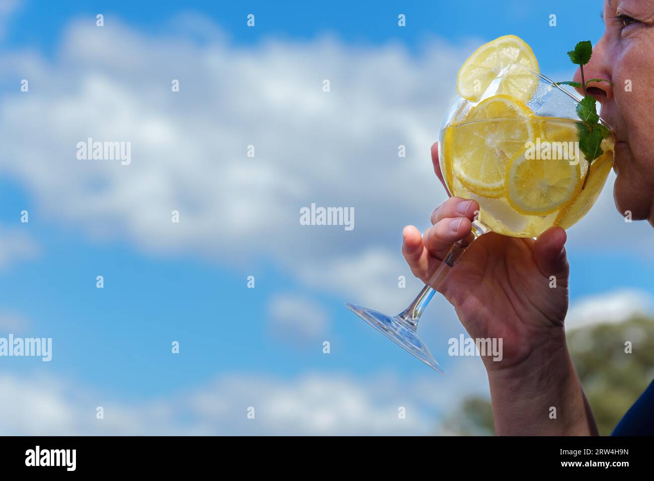 Donna vista di profilo che beve un bicchiere di gin tonic con fette di limone e foglie di menta con un cielo blu con nuvole sullo sfondo Foto Stock