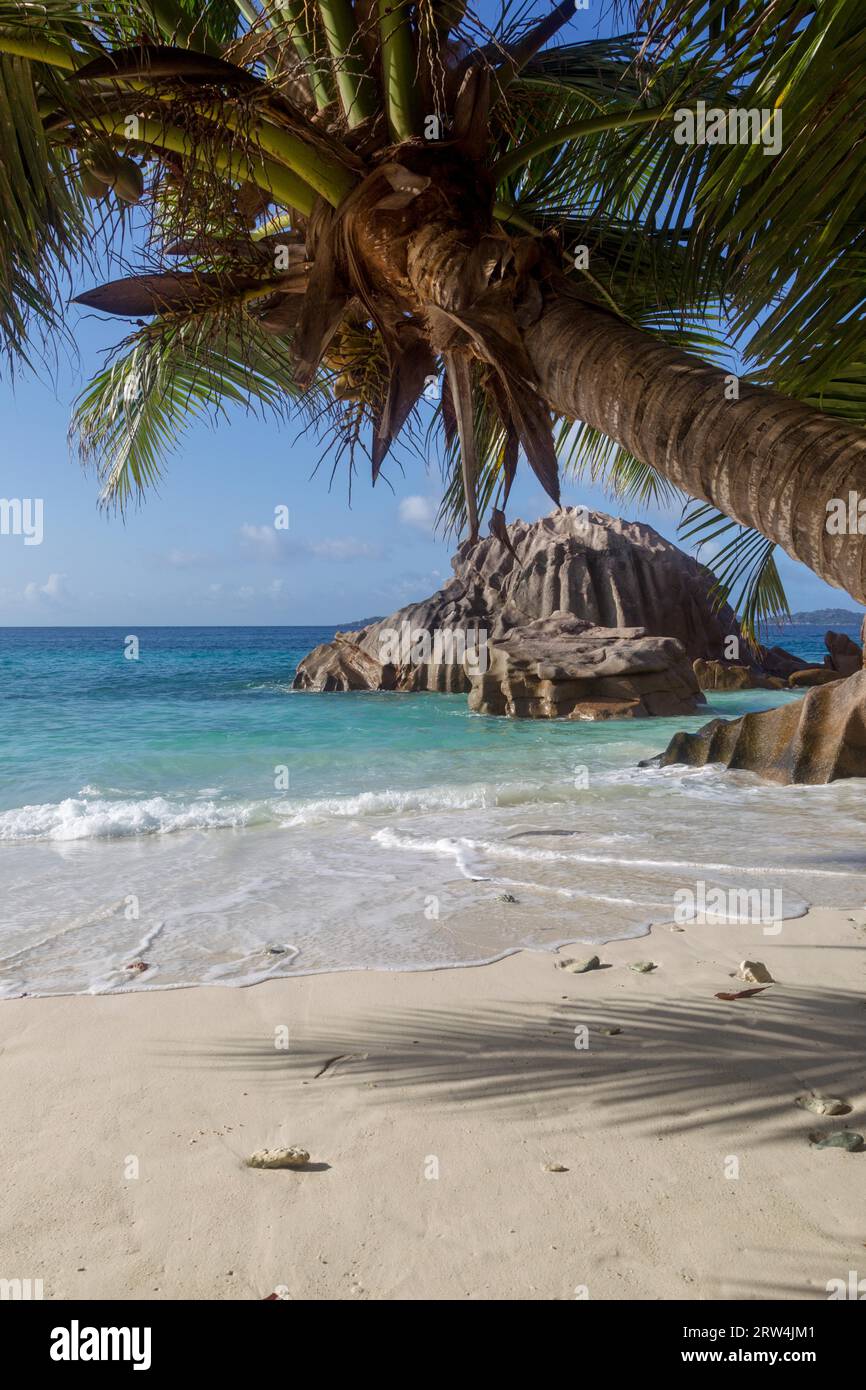 Palme e rocce di granito su una spiaggia da sogno a la Digue, Seychelles Foto Stock