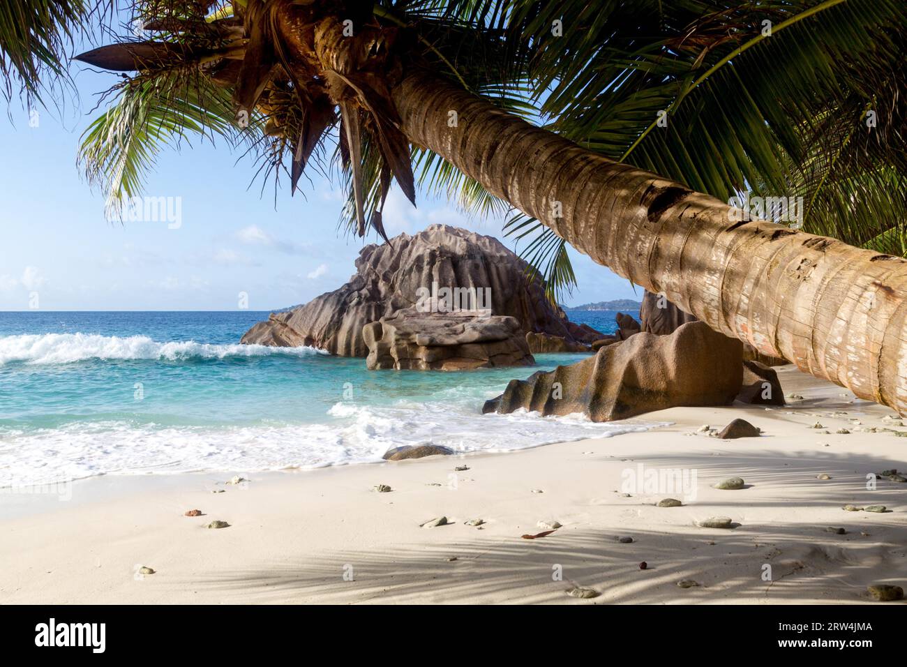 Palme e rocce di granito su una spiaggia da sogno a la Digue, Seychelles Foto Stock