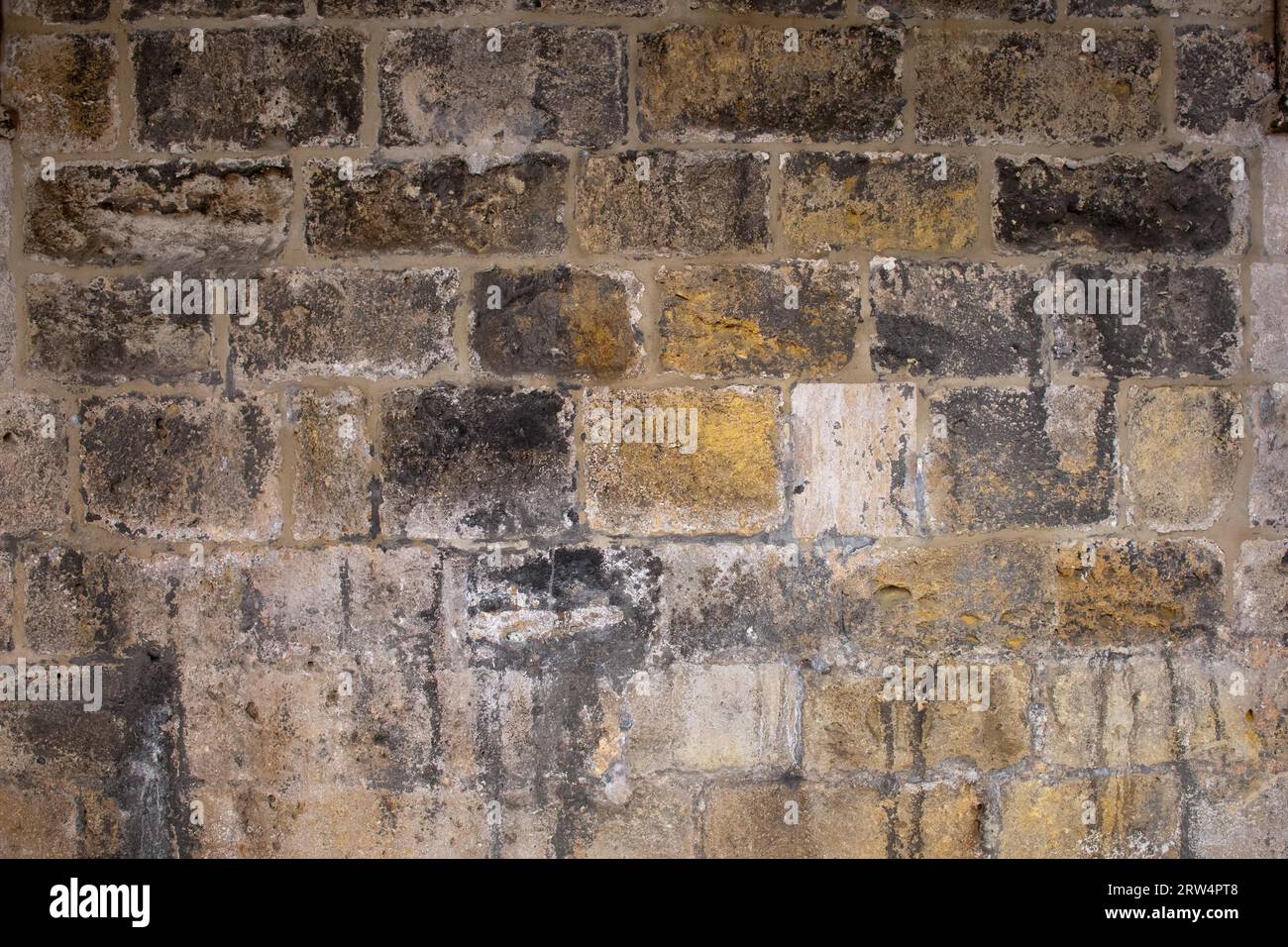 Muro medievale di sfondo o struttura della cattedrale Foto Stock
