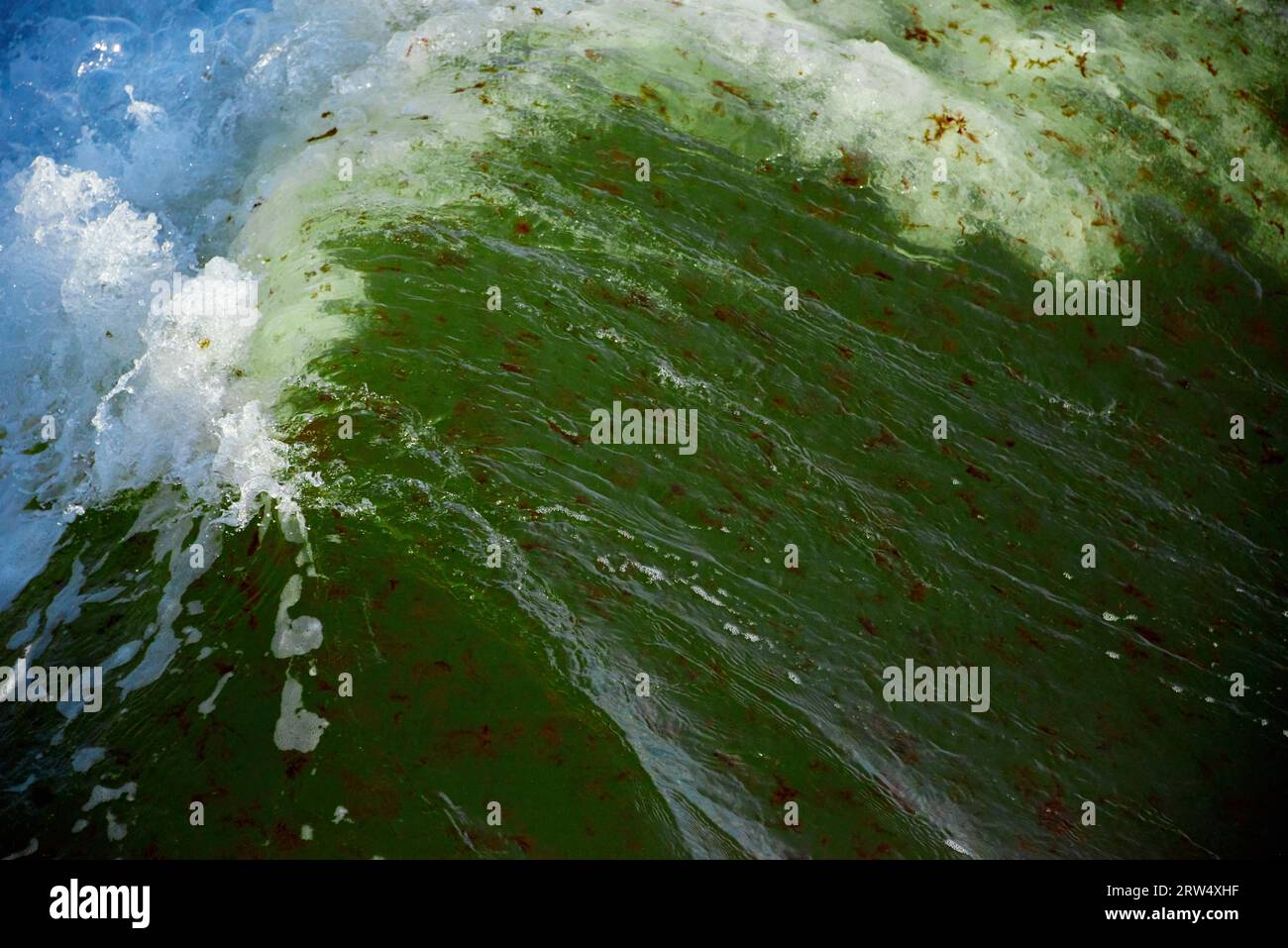 Un'onda che rompe nel mare verde e blu tempestoso Foto Stock