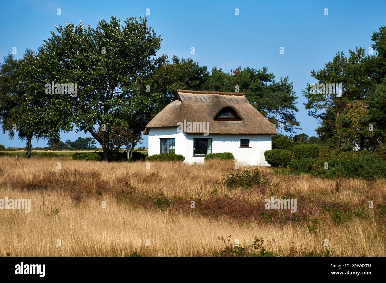 Idilliaco paesaggio di campagna con case di canne sull'isola di Hiddensee Foto Stock