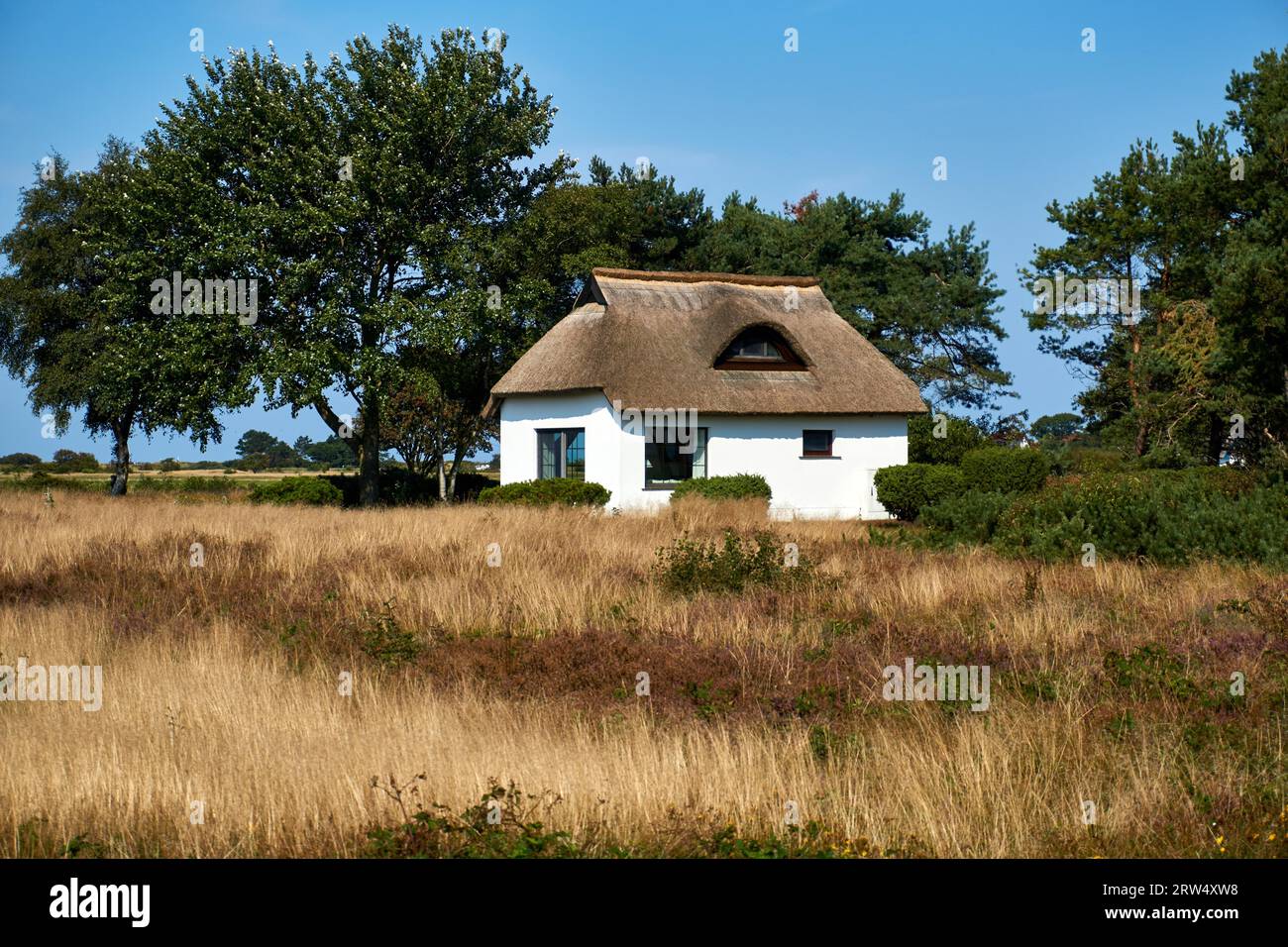 Idilliaco paesaggio di campagna con case di canne sull'isola di Hiddensee Foto Stock