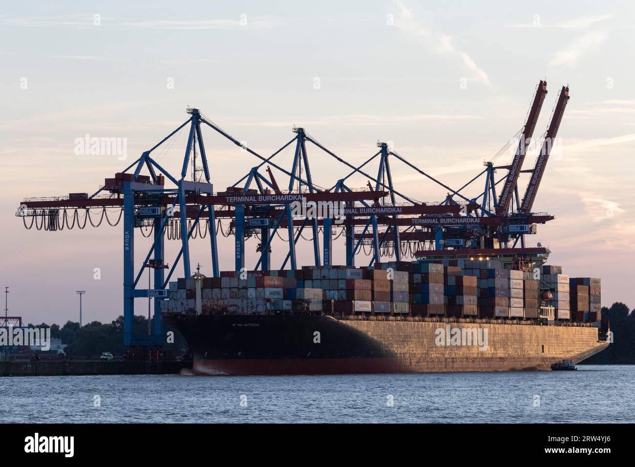 Nave portacontainer W Klaipeda e gru a cavalletto per container presso il terminal Burchardkai alla luce serale del porto di Amburgo, Amburgo, Germania Foto Stock