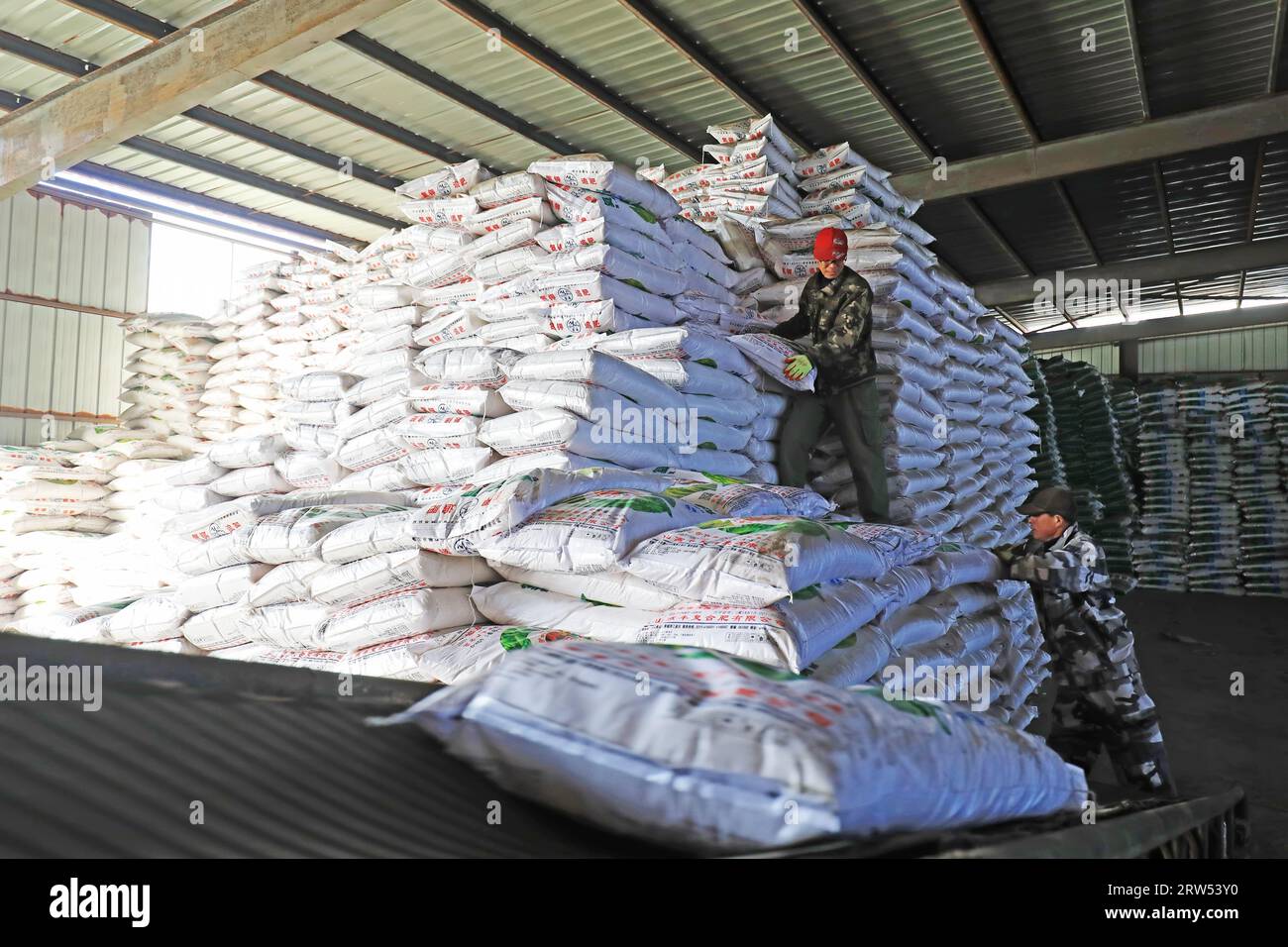 CONTEA DI LUANNAN, provincia di Hebei, Cina - 27 febbraio 2021: I lavoratori caricano fertilizzanti composti in una fabbrica Foto Stock