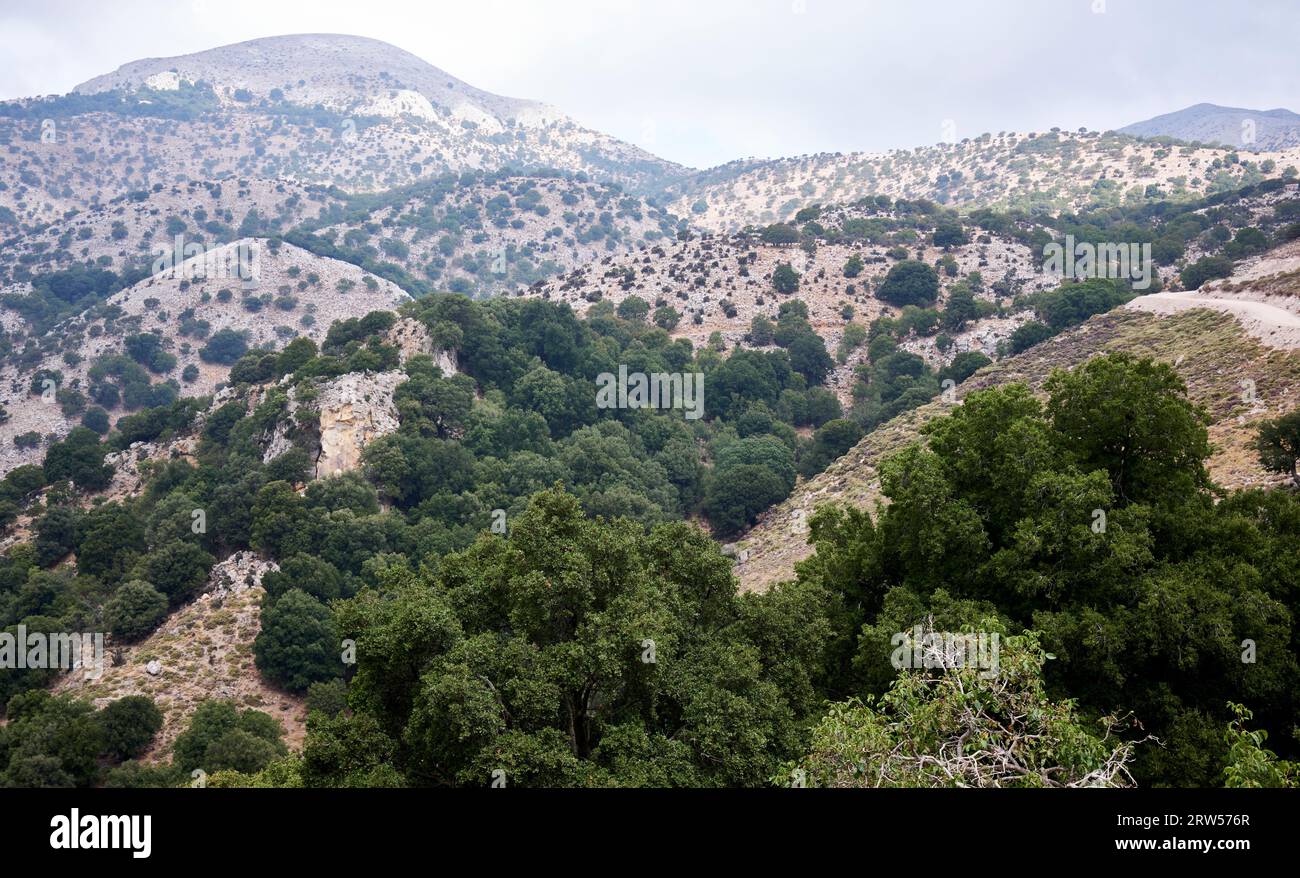 Dikti o Dicte (in greco: Δίκτη) è una catena montuosa situata nella parte orientale dell'isola di Creta, in Grecia Foto Stock