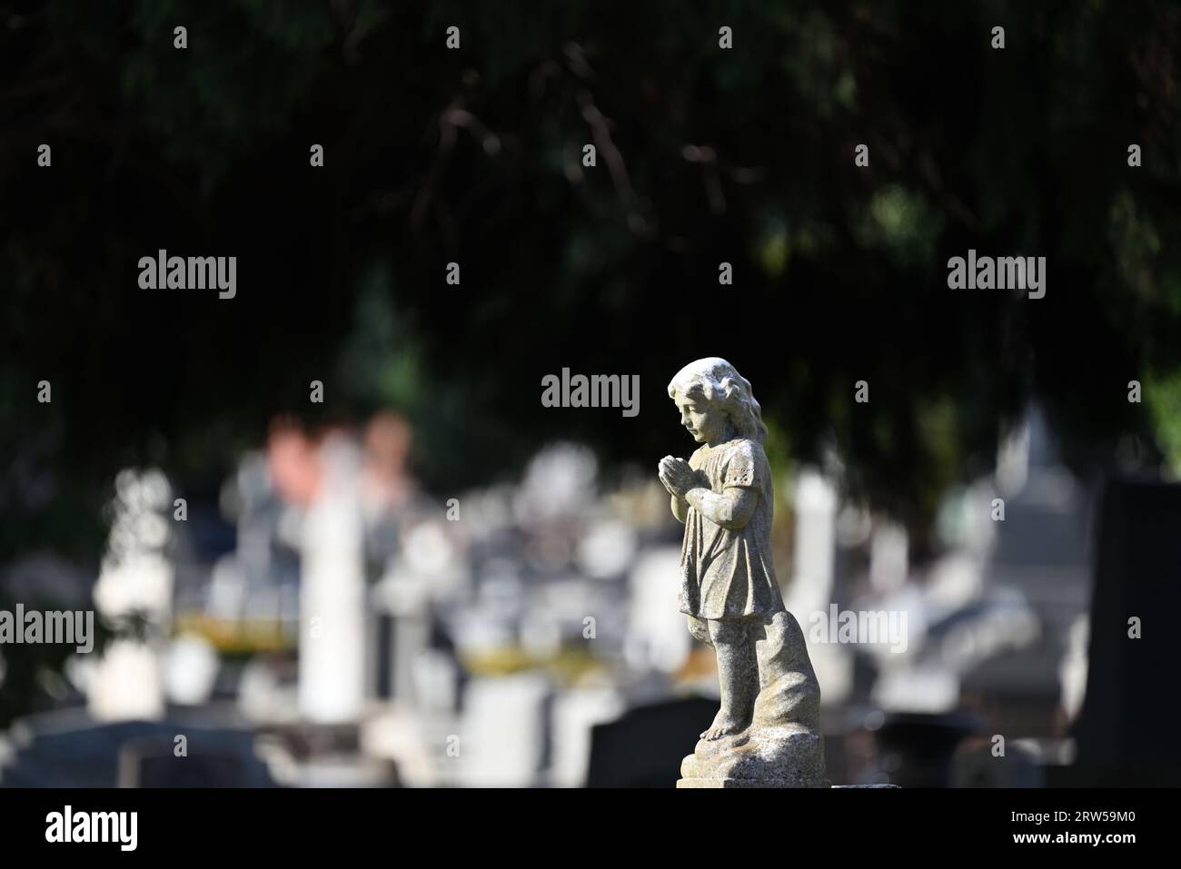 Vista laterale di una scultura in pietra di un bambino in preghiera situata in un cimitero, con tombe sfocate e lapidi sullo sfondo Foto Stock