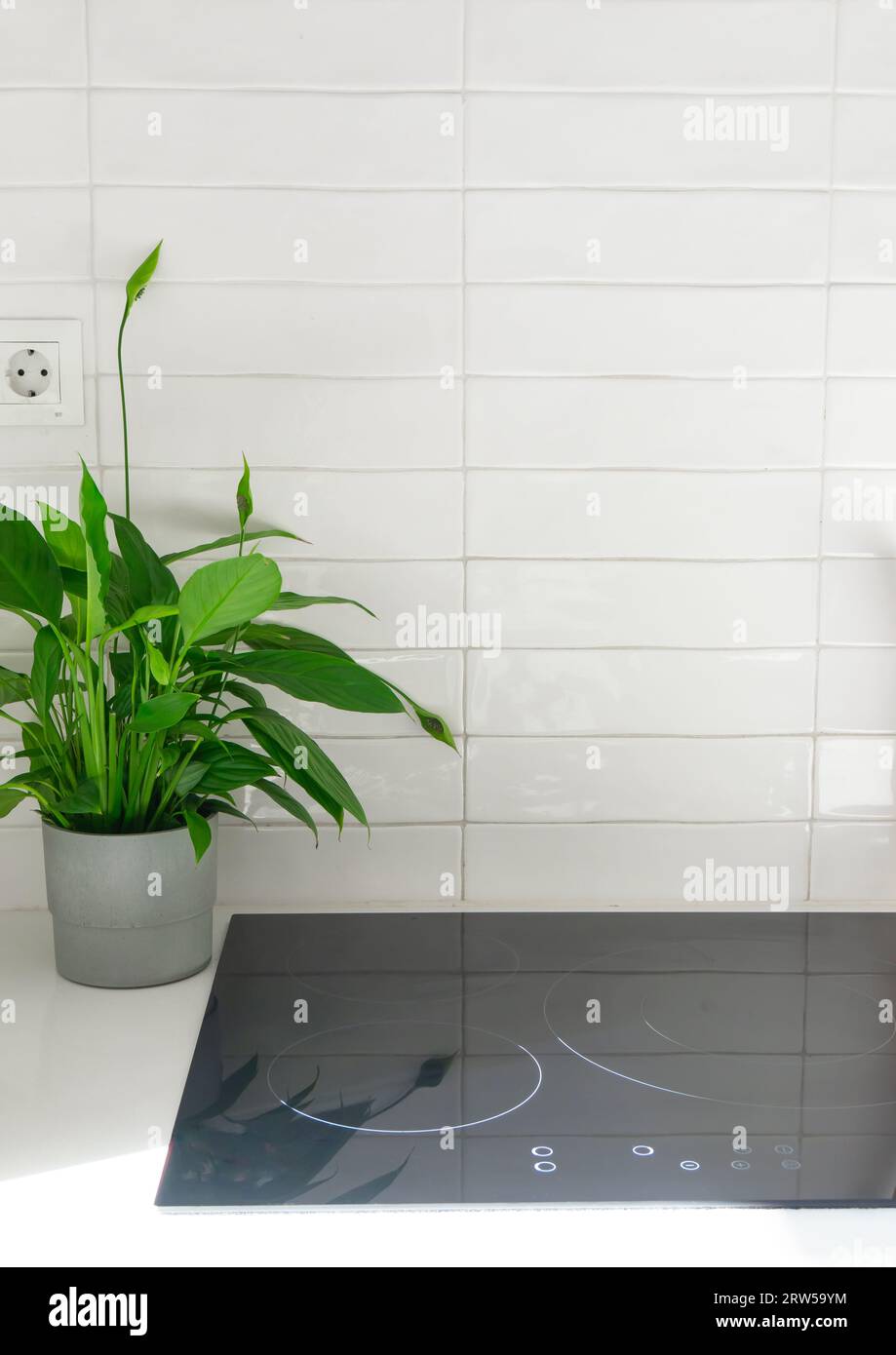 Cucina casalinga. Stufa in vetroceramica contro la parete di piastrelle bianche, pianta verde su una pentola. Scatto verticale con spazio di copia. Foto Stock