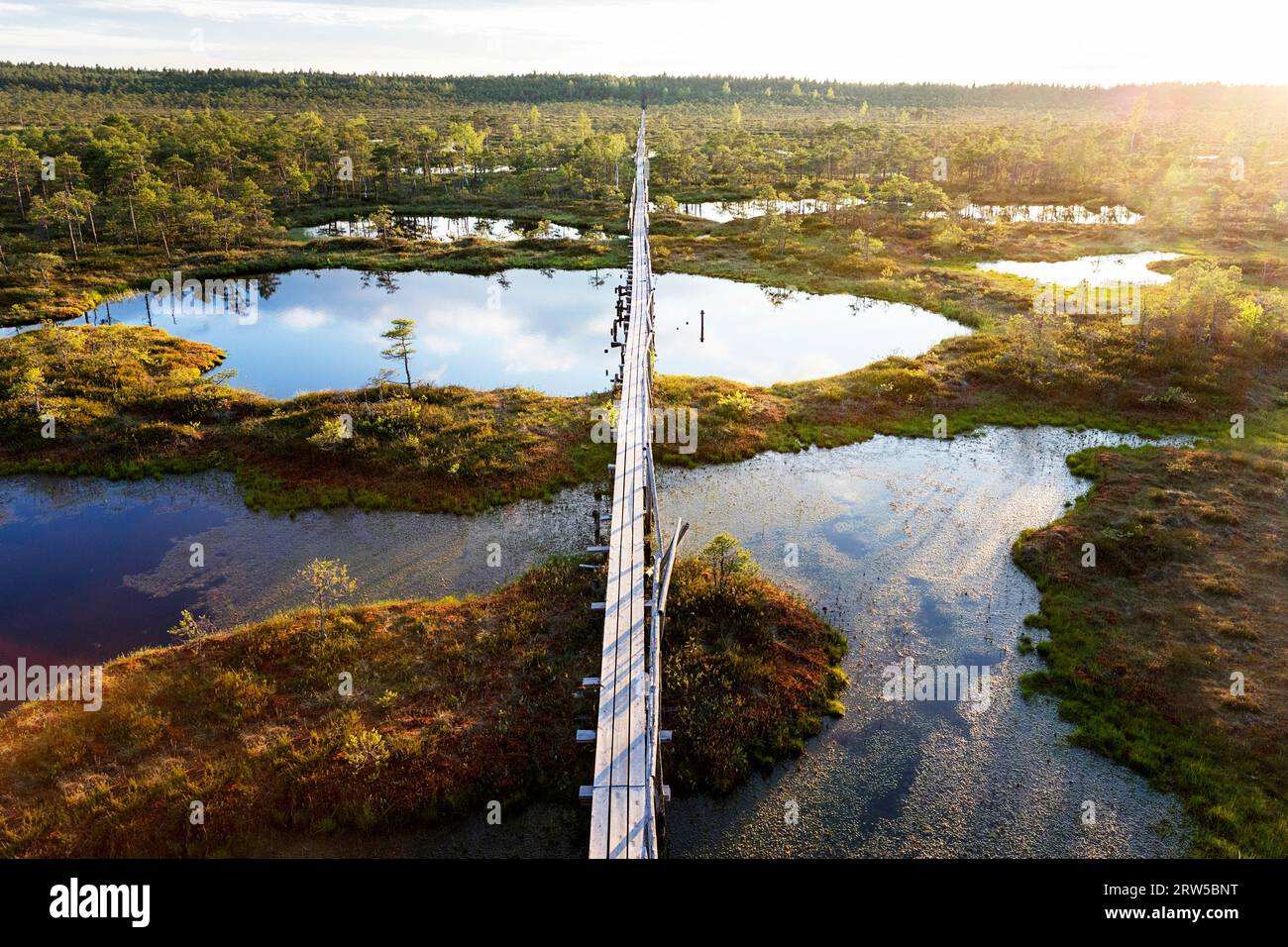 Splendido sentiero escursionistico Mannikjarve, passerella in legno nella riserva naturale di Endla circondata da piscine e isolotti in una soleggiata giornata estiva, Estonia Foto Stock