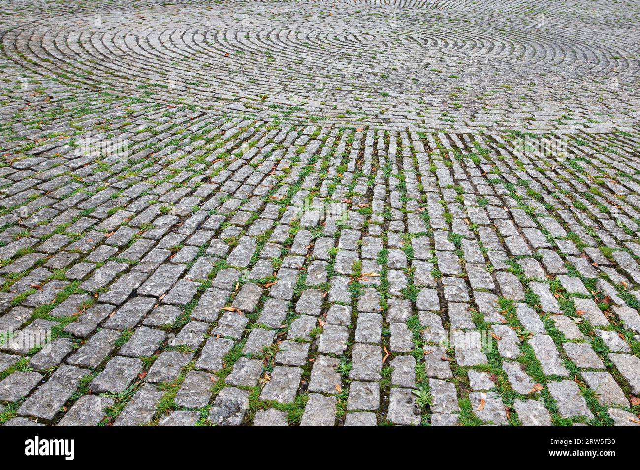 Cerchio di lavoro in pietra grigia all'ingresso esterno del Coleton Fishacre Foto Stock