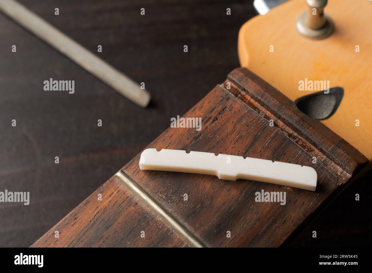 Dado di chitarra ossea appoggiato su un collo Foto Stock