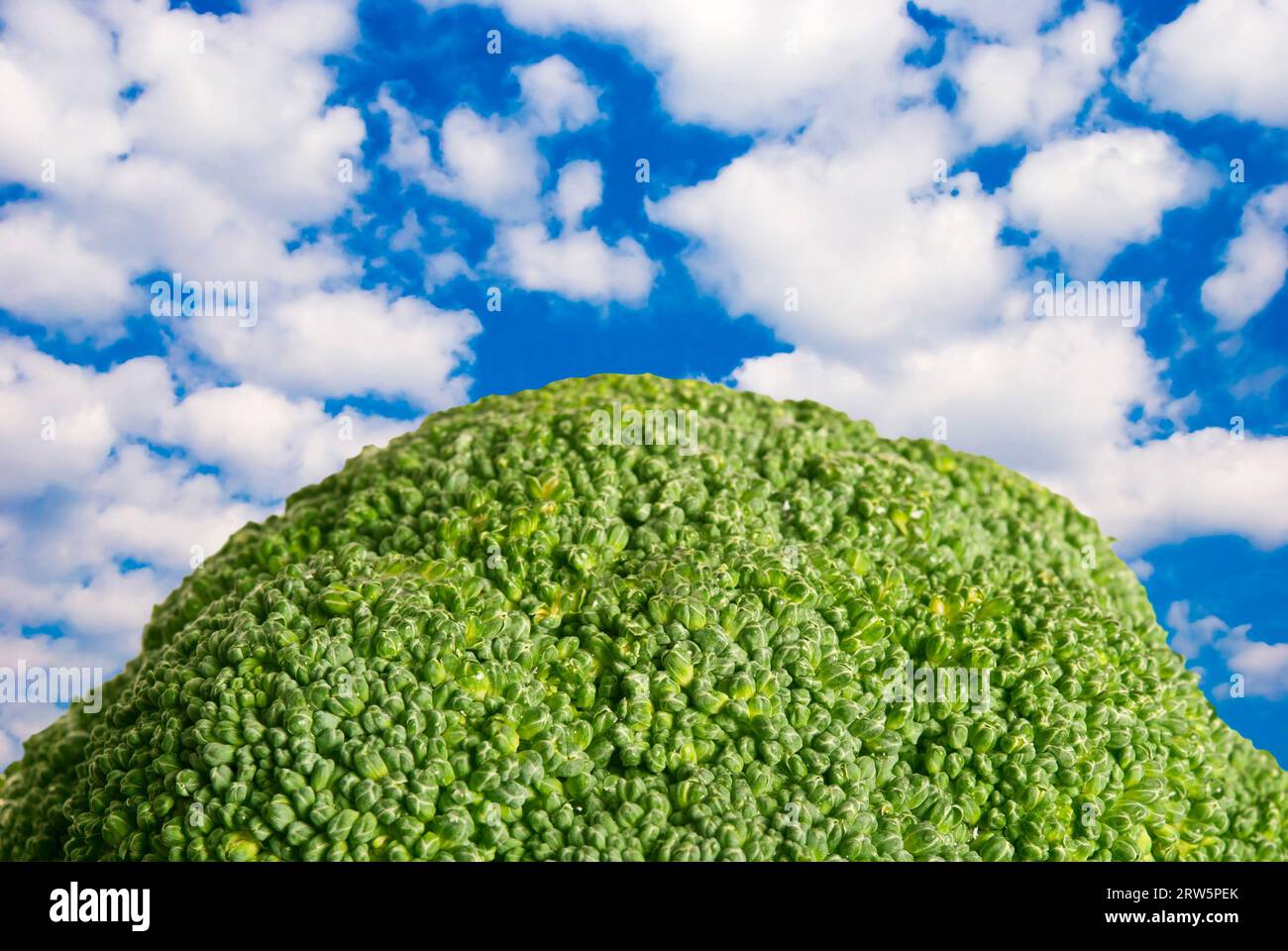 broccoli verdi e nuvole bianche con un cielo blu, concetto creativo di cibo sano Foto Stock