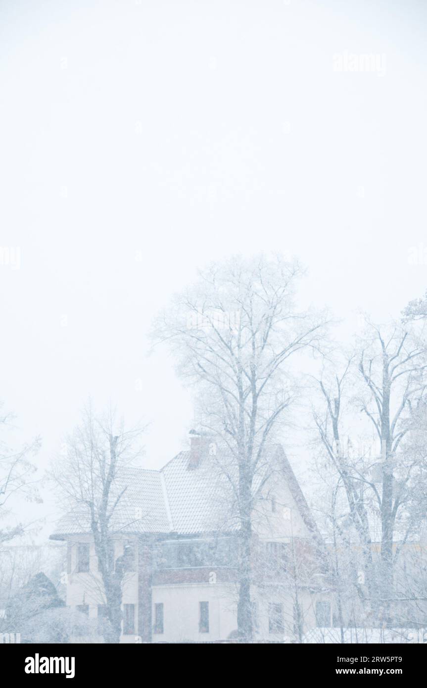 giornata bianca di nevicata con alberi e una villa Foto Stock