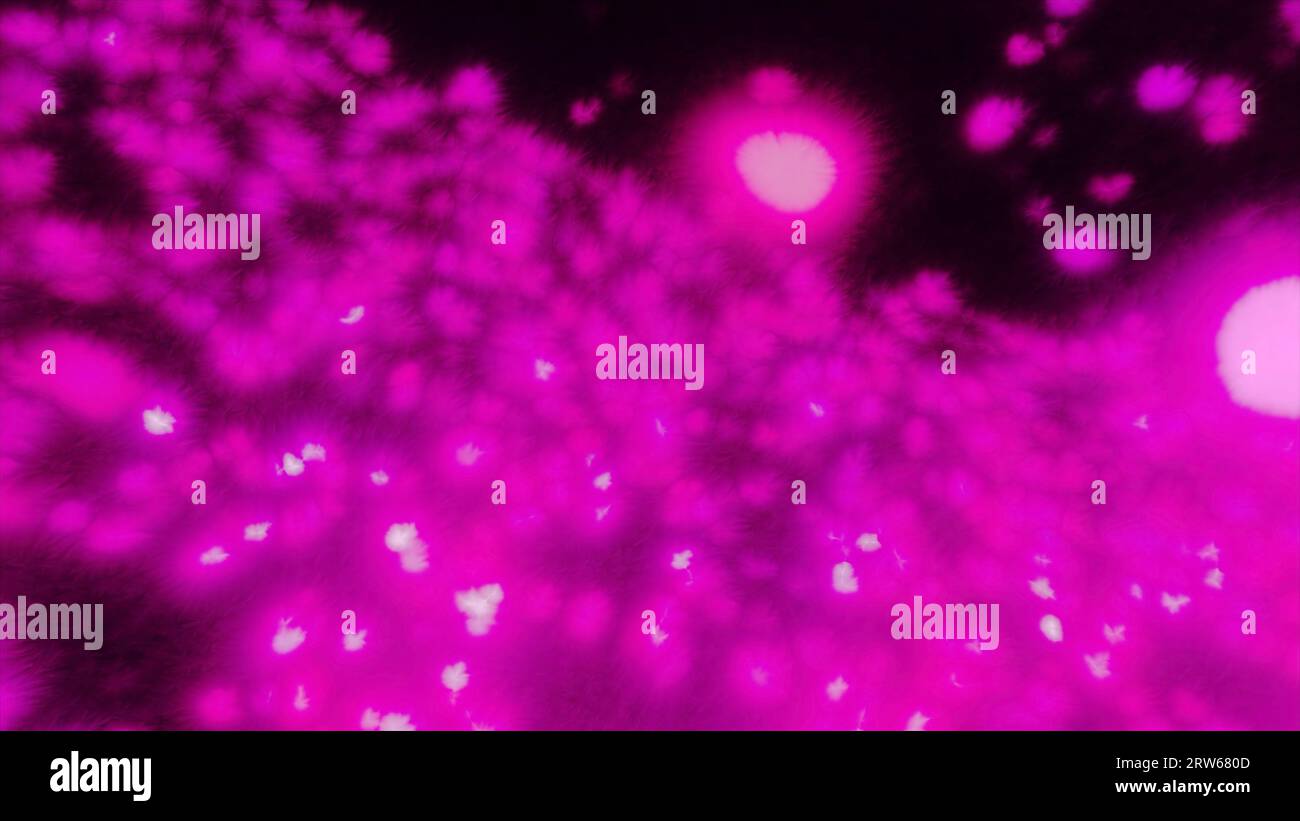 Animazione astratta di palle di malattia incandescenti. Movimento. Soffici palline che volano nello spazio. Sfere di allergeni o batteri Foto Stock