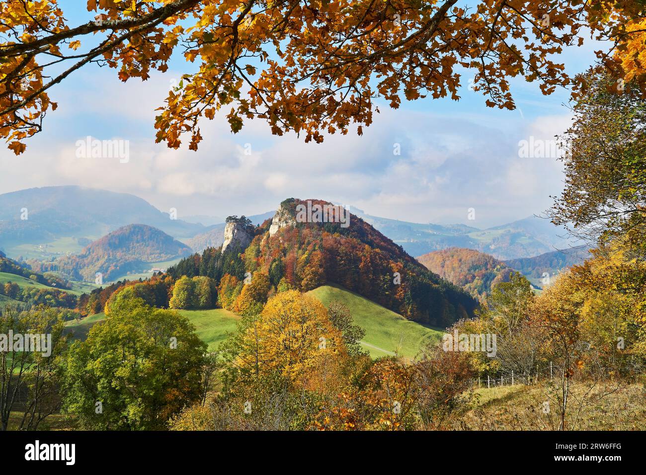 Bölchen, vicino a Eptingen, Giura, Cantone di Baselland, Svizzera Foto Stock