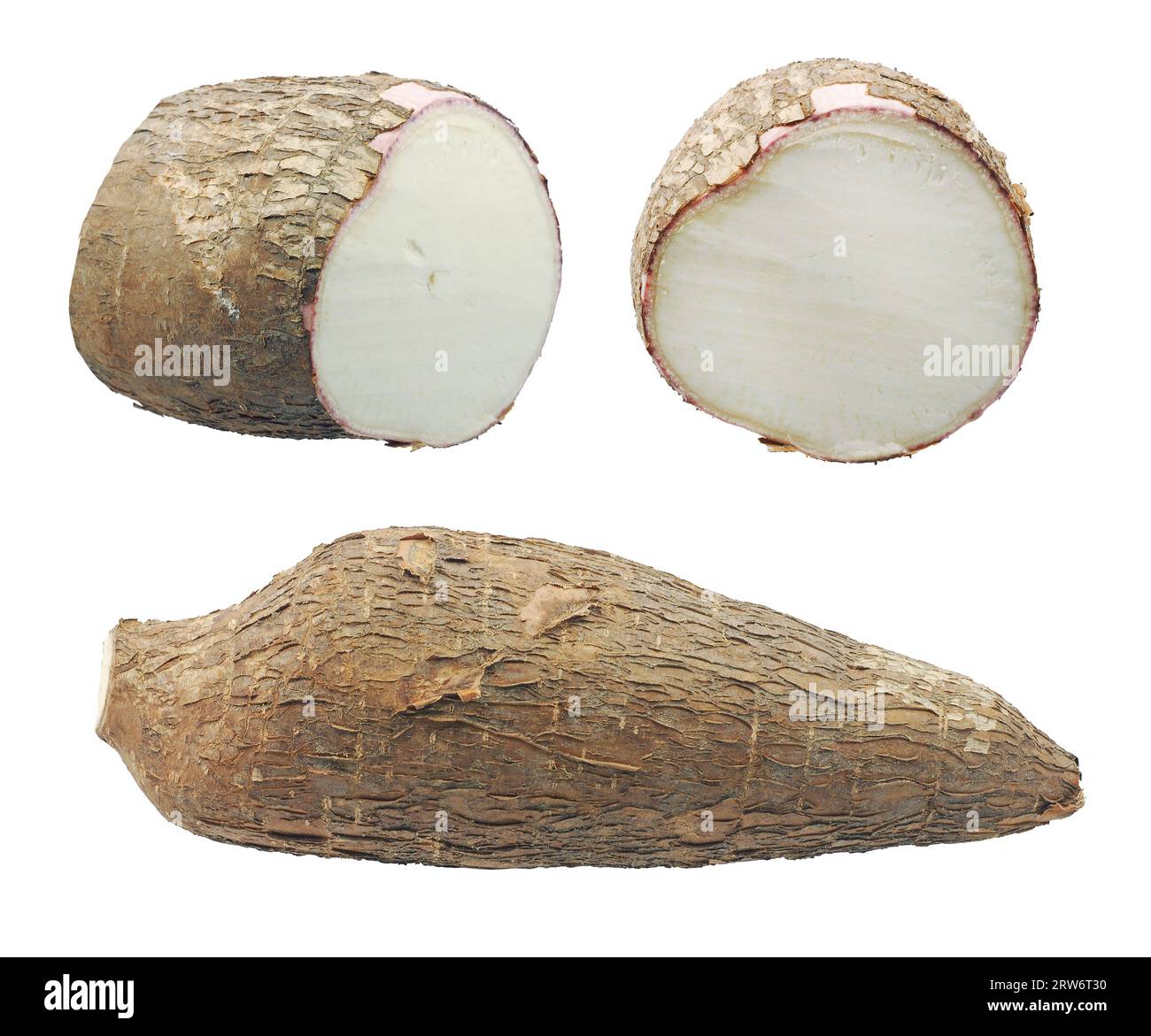 Radici di manioca yucca, isolate su bianco Foto Stock