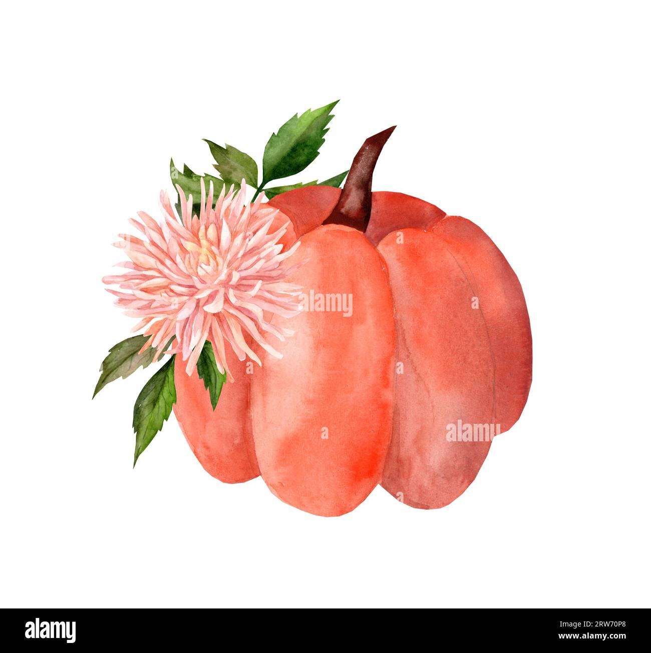 Zucca arancione con fiori per Halloween. Decorazioni autunnali di una casa colonica. Giorno del Ringraziamento Foto Stock