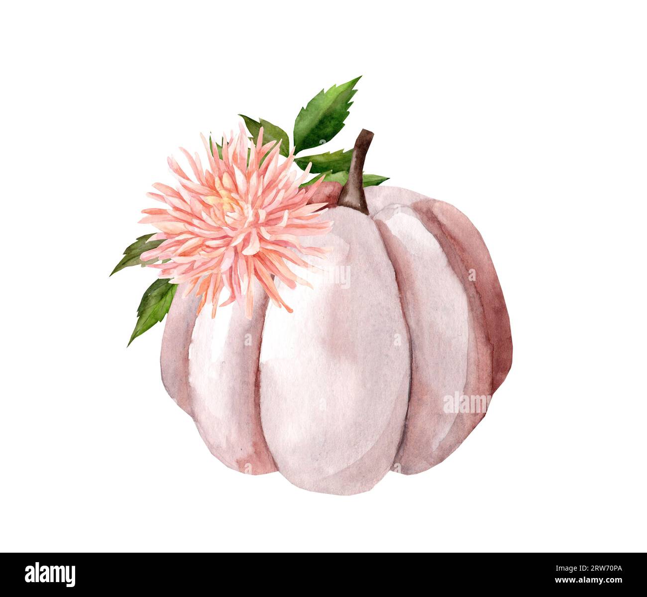 Zucca rosa con fiori per Halloween. Decorazioni autunnali di una casa colonica. Giorno del Ringraziamento Foto Stock