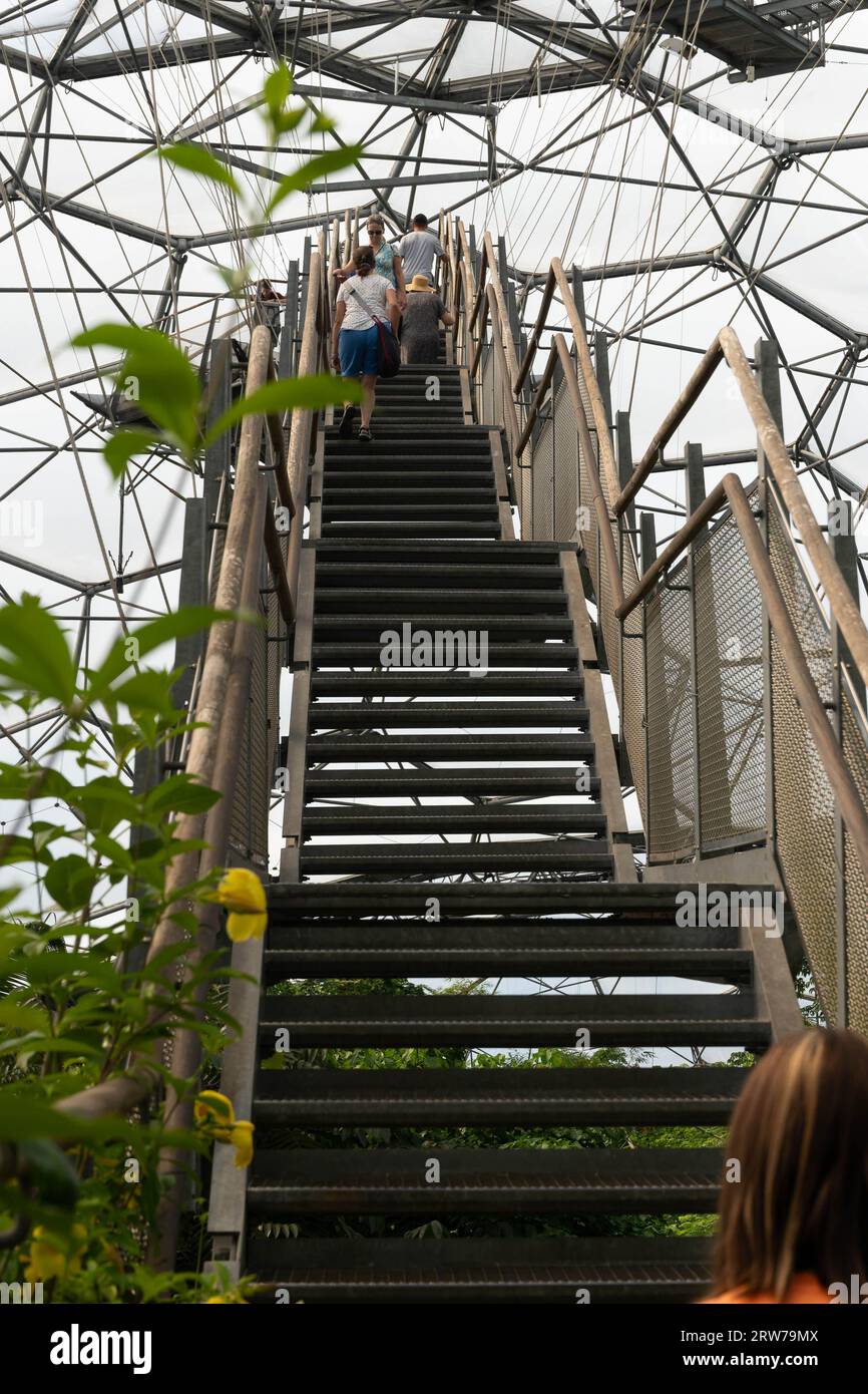 I visitatori salgono le scale per raggiungere la piattaforma panoramica della torre di osservazione in Cornovaglia Foto Stock