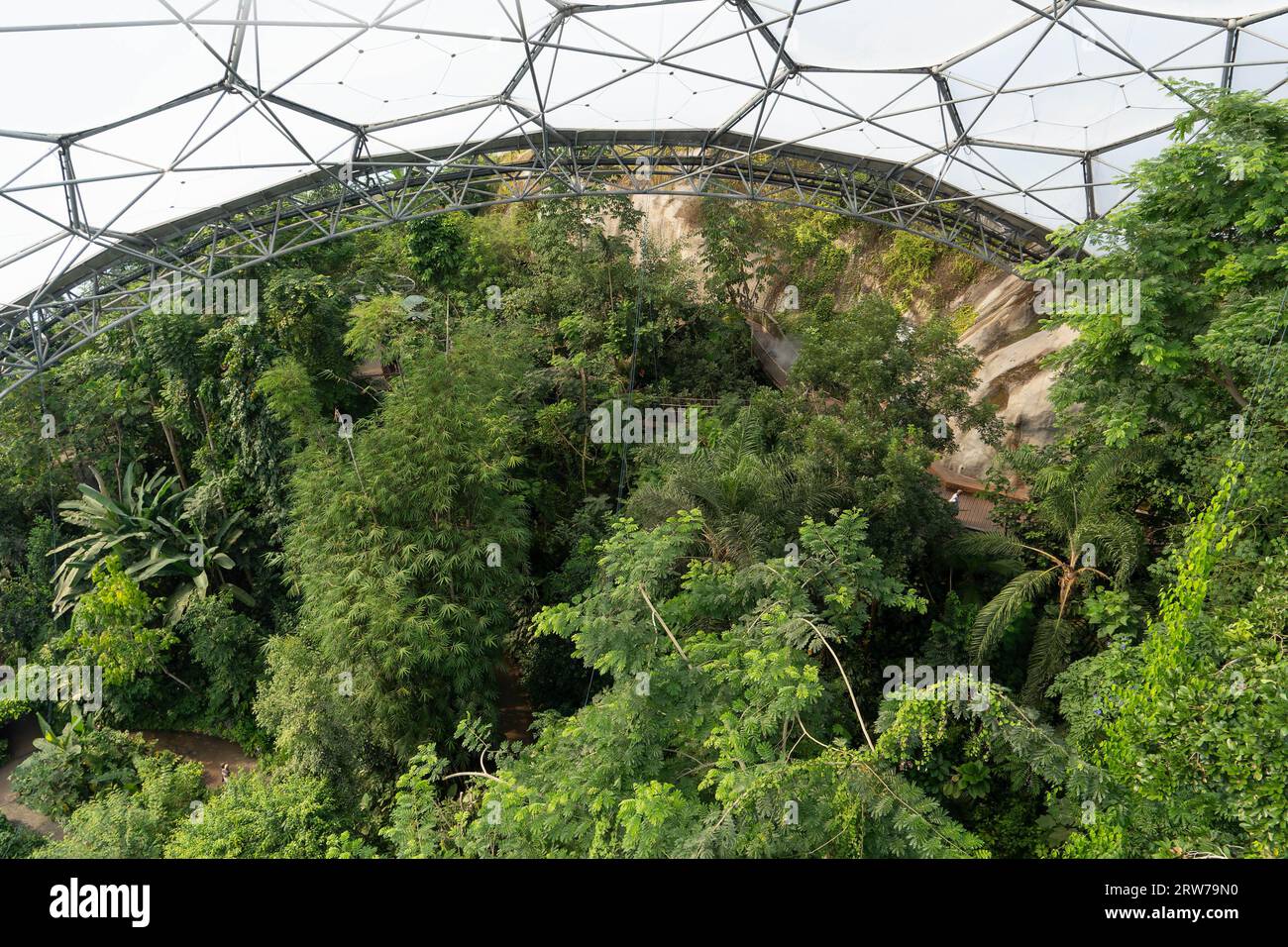 Bioma della foresta pluviale tropicale sotto la cupola geodetica dell'Eden Project Cornwall Foto Stock
