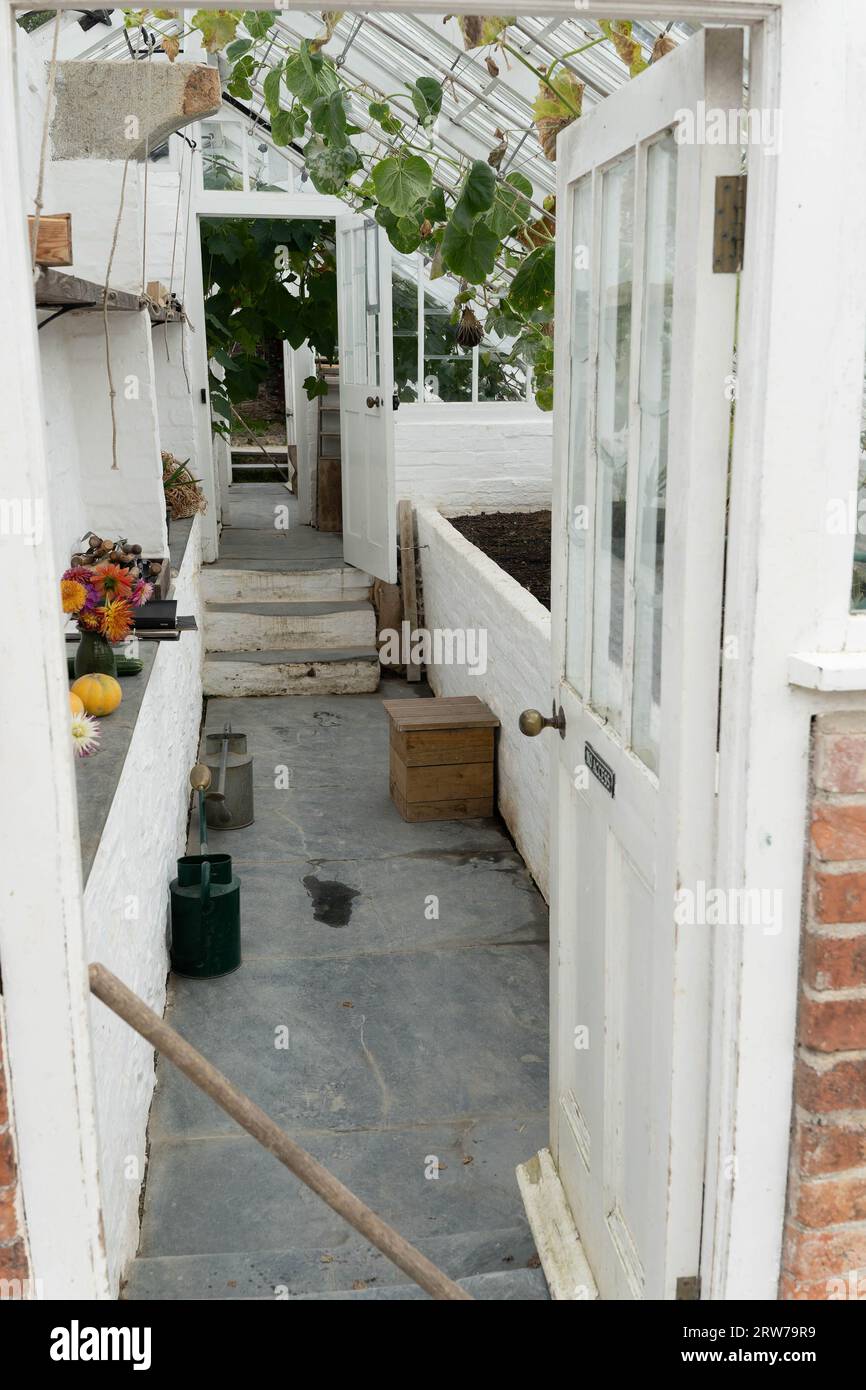Interno tradizionale dipinto di bianco in serra con viti e letti in crescita in Cornovaglia Foto Stock