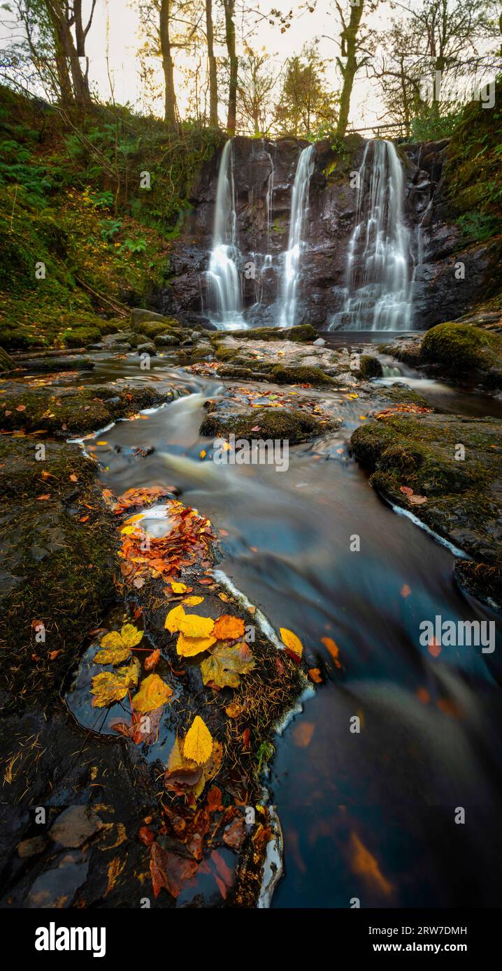 ESS-na-Crub Waterfall, Glenariff Forest Park, County Antrim, Irlanda del Nord Foto Stock