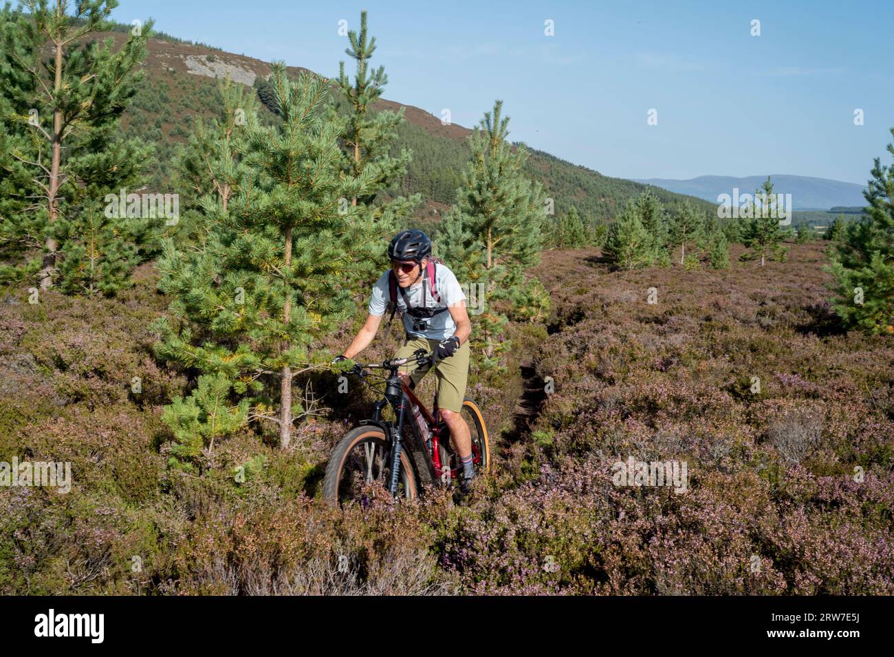 Ciclista di mountain bike nella foresta di Glenfeshie, cairngorms National Park Scozia, Regno Unito Foto Stock