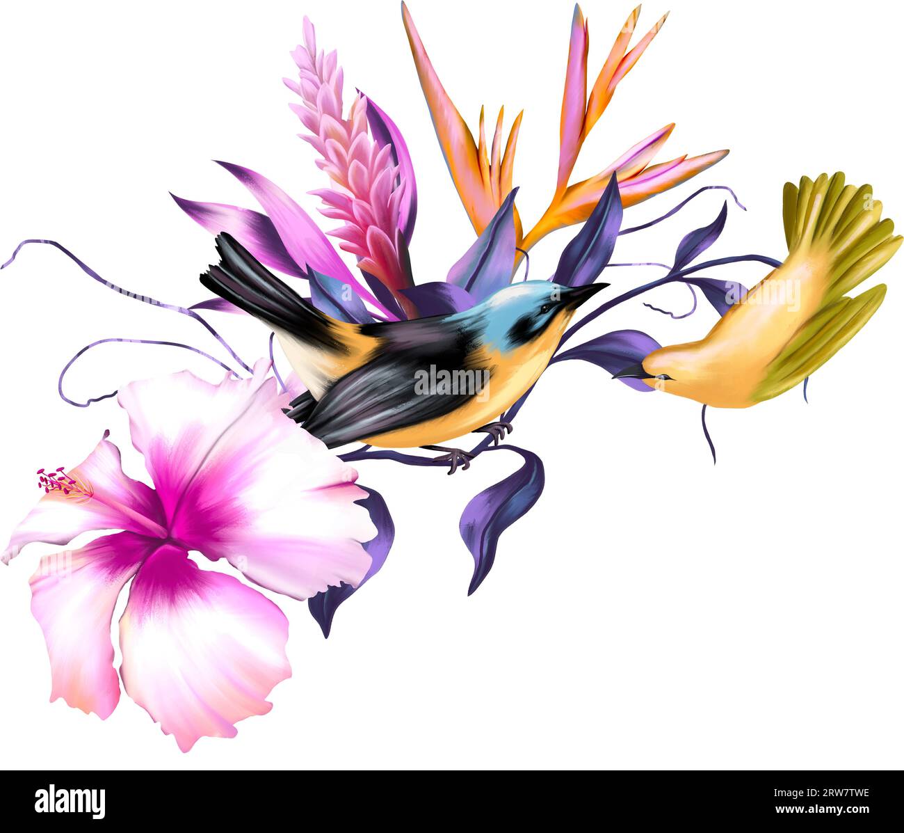Composizione floreale tropicale con due uccelli colorati Foto Stock