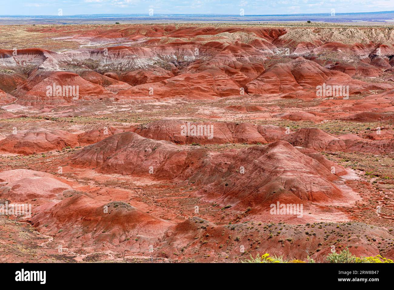 Deserto Dipinto, Parco Nazionale della Foresta Pietrificata, Arizona, Stati Uniti d'America Foto Stock
