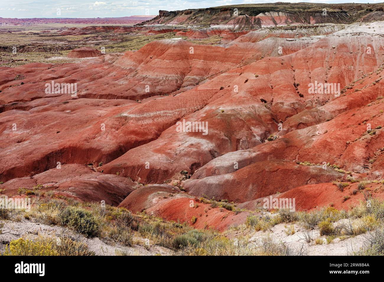 Deserto Dipinto, Parco Nazionale della Foresta Pietrificata, Arizona, Stati Uniti d'America Foto Stock