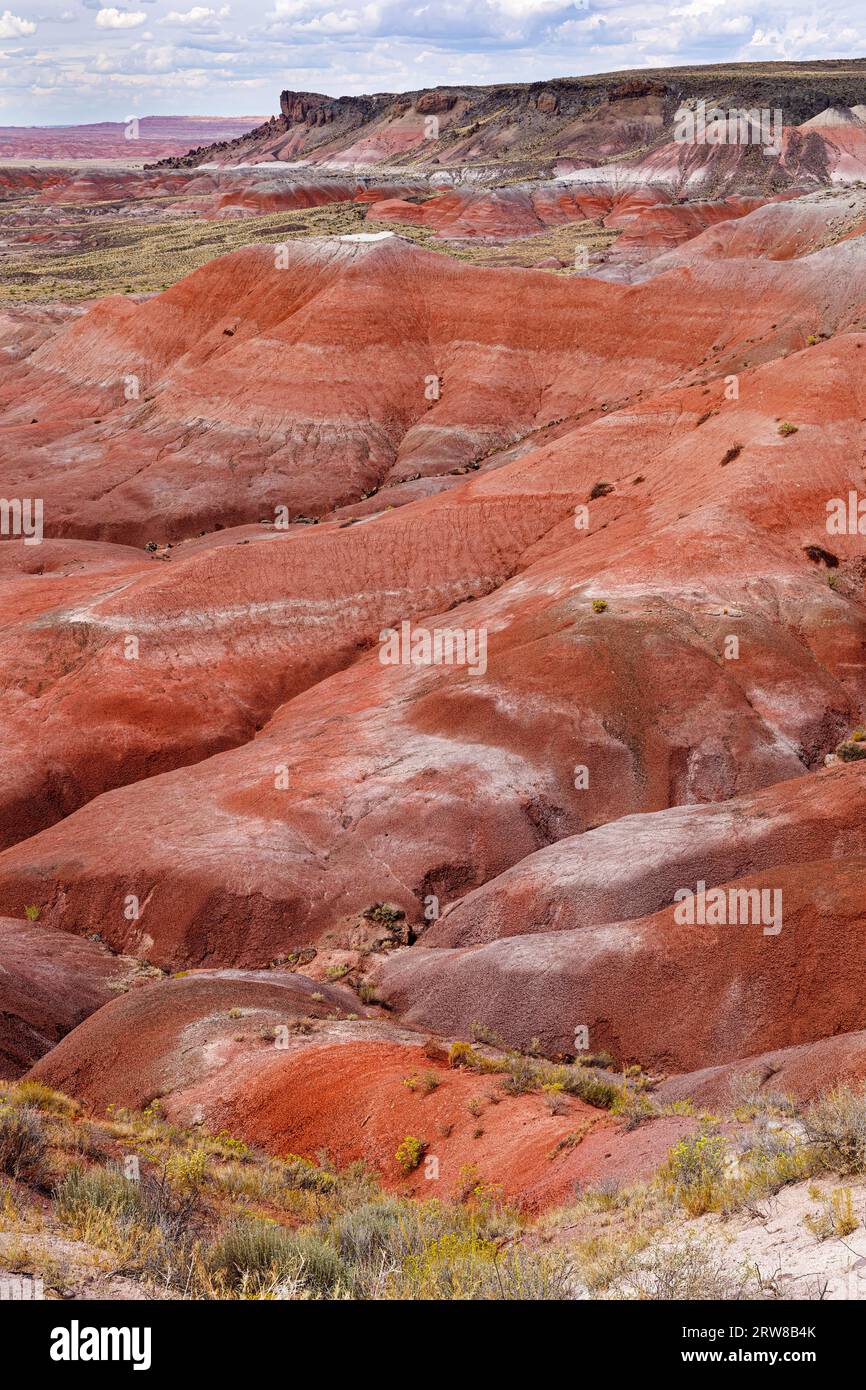 Deserto Dipinto, Parco Nazionale della Foresta Pietrificata, Arizona, Stati Uniti d'America Foto Stock