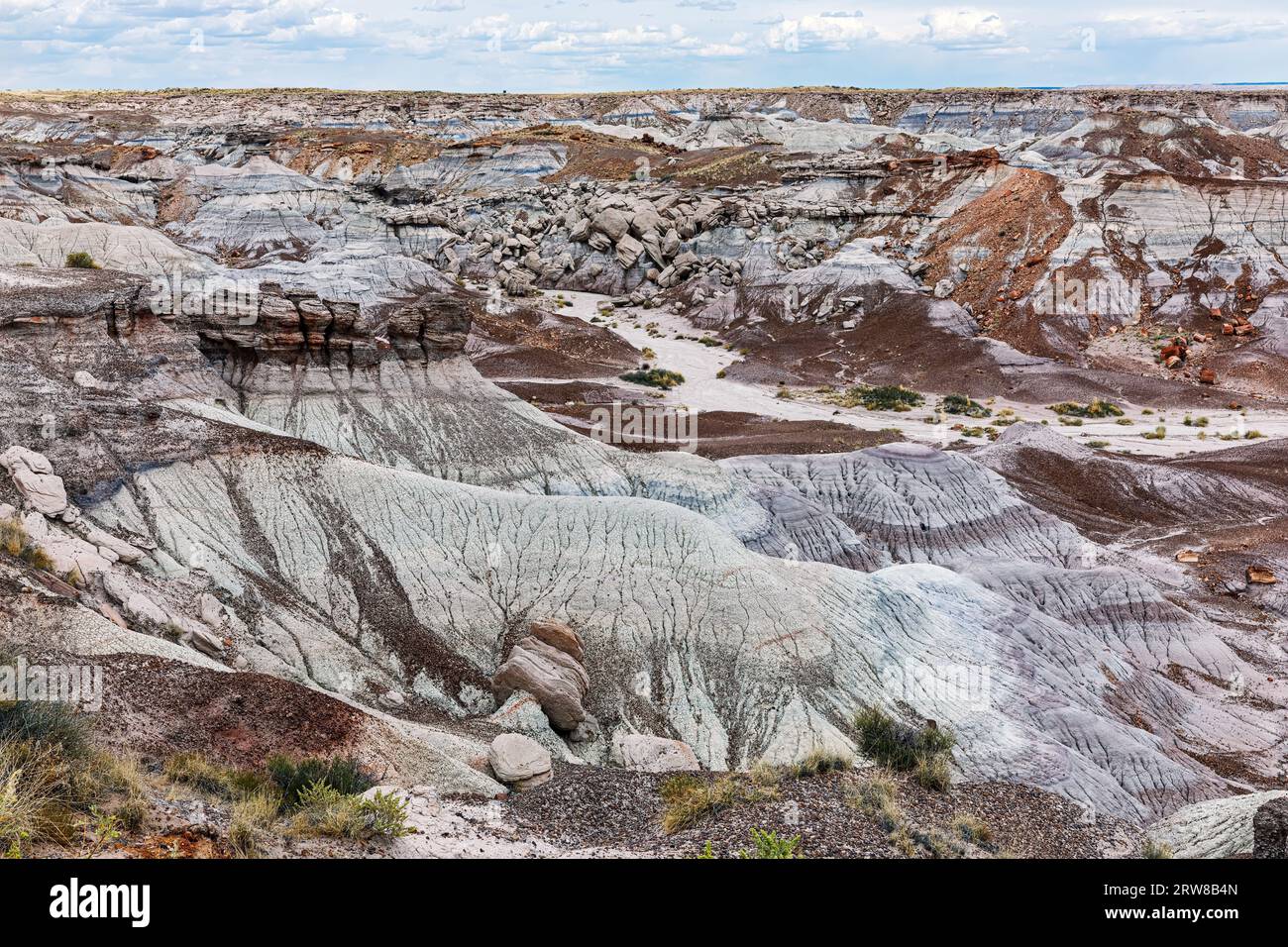 Blue Mesa, Parco Nazionale della Foresta Pietrificata, Arizona, Stati Uniti d'America Foto Stock