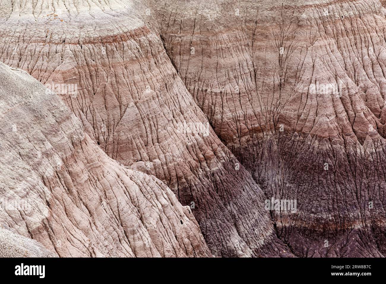Vista ravvicinata di Blue Mesa, Petrified Forest National Park, Arizona, USA Foto Stock