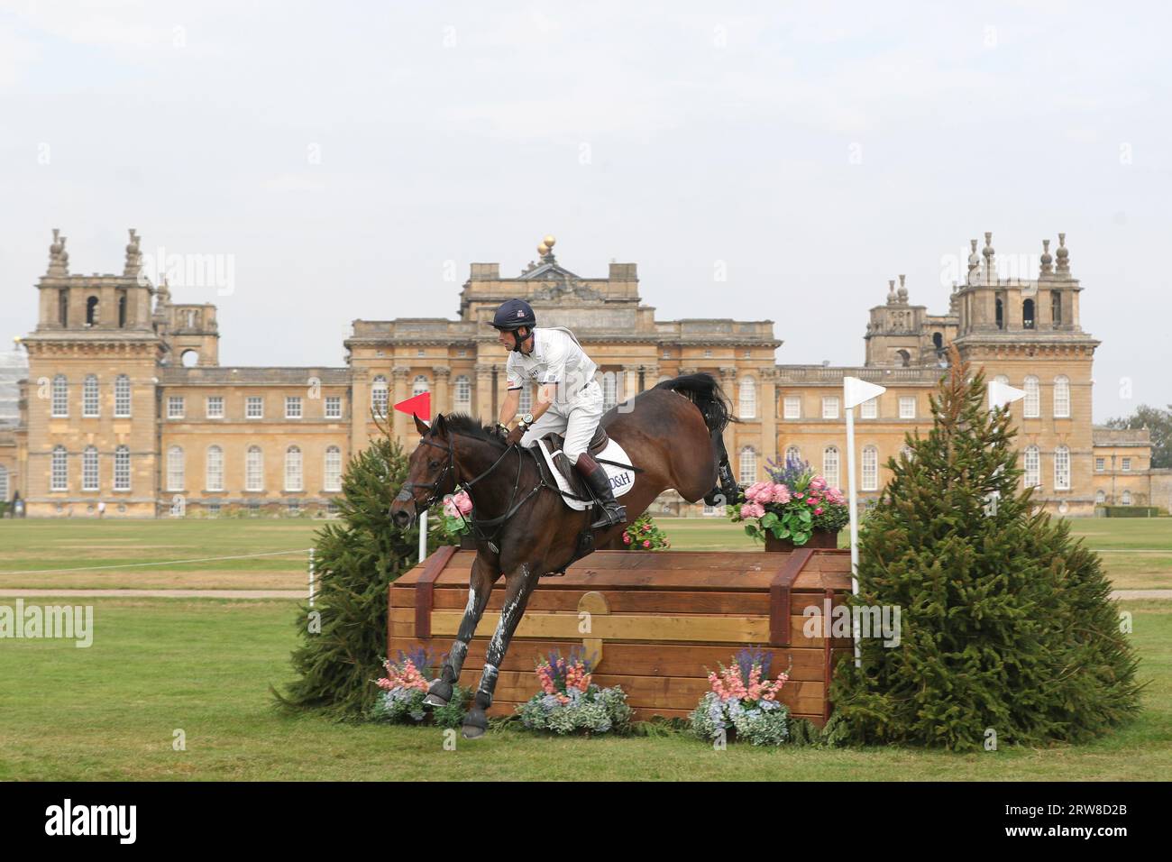 Harry Meade cavalcando et Hop du Matz nel CCI-L 4* durante le prove ippiche internazionali del Blenheim Palace a Blenheim Palace, Woodstock, Oxfordshire sabato 16 settembre 2023. (Foto: Jon Bromley | mi News) crediti: MI News & Sport /Alamy Live News Foto Stock