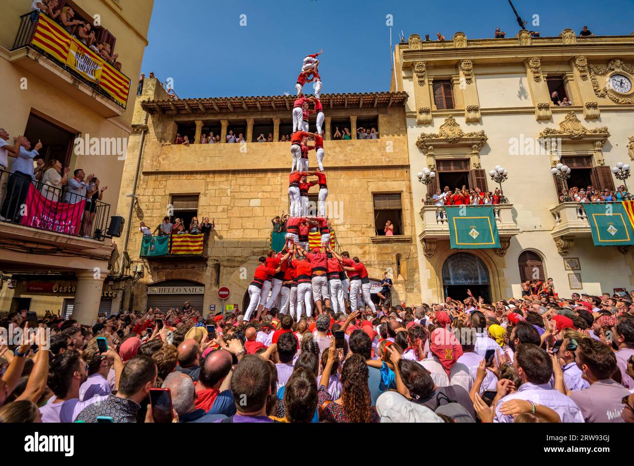 Castells (torri umane) nel giorno di Sant Fèlix del 2023. Il festival principale di Vilafranca del Penedès (Barcellona, Catalogna, Spagna) Foto Stock