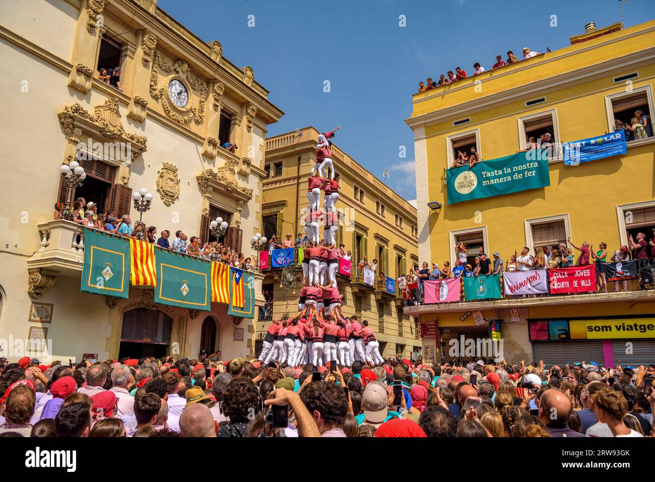 Castells (torri umane) nel giorno di Sant Fèlix del 2023. Il festival principale di Vilafranca del Penedès (Barcellona, Catalogna, Spagna) Foto Stock