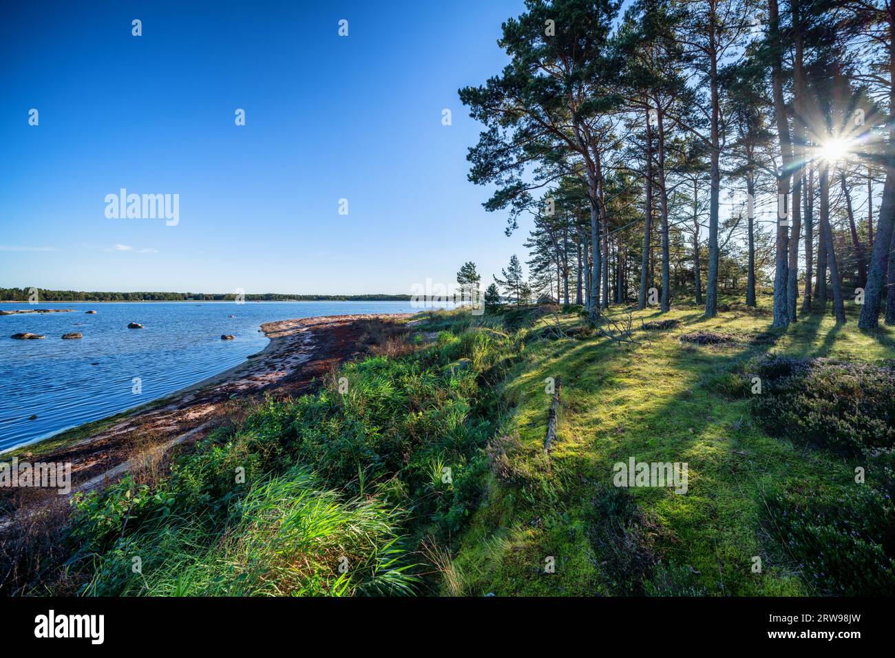 Sull'isola di Granskär, Hanko, Finlandia Foto Stock