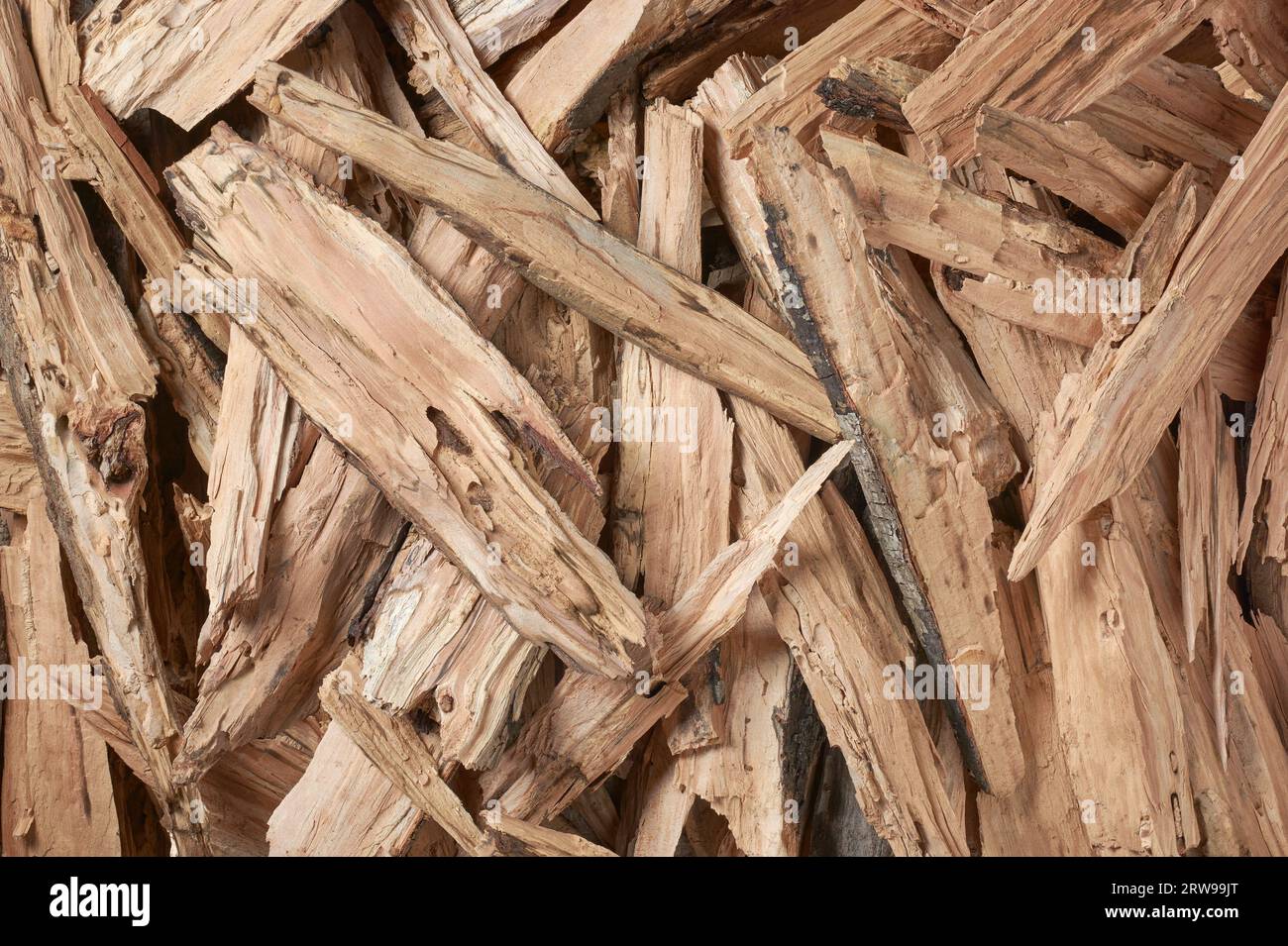 vista dall'alto dei pezzi di legna da ardere tagliati, legno duro stagionato preparato per l'uso come combustibile in caminetti, stufe a legna o pozzi antincendio all'aperto, fonte comune Foto Stock