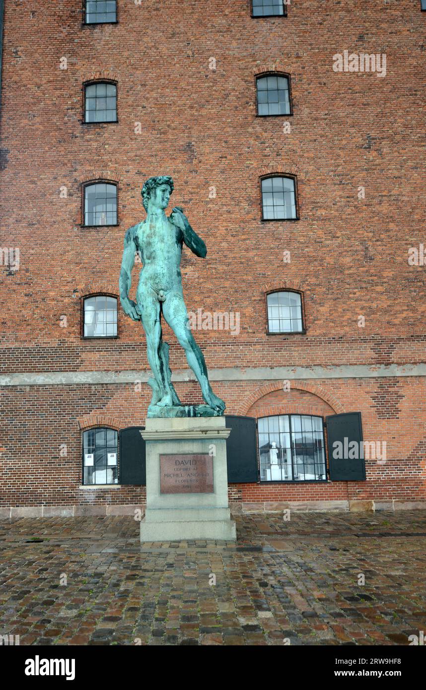 Statua di David della Royal Cast Collection sul lungomare del porto interno di Copenaghen, Danimarca. Foto Stock