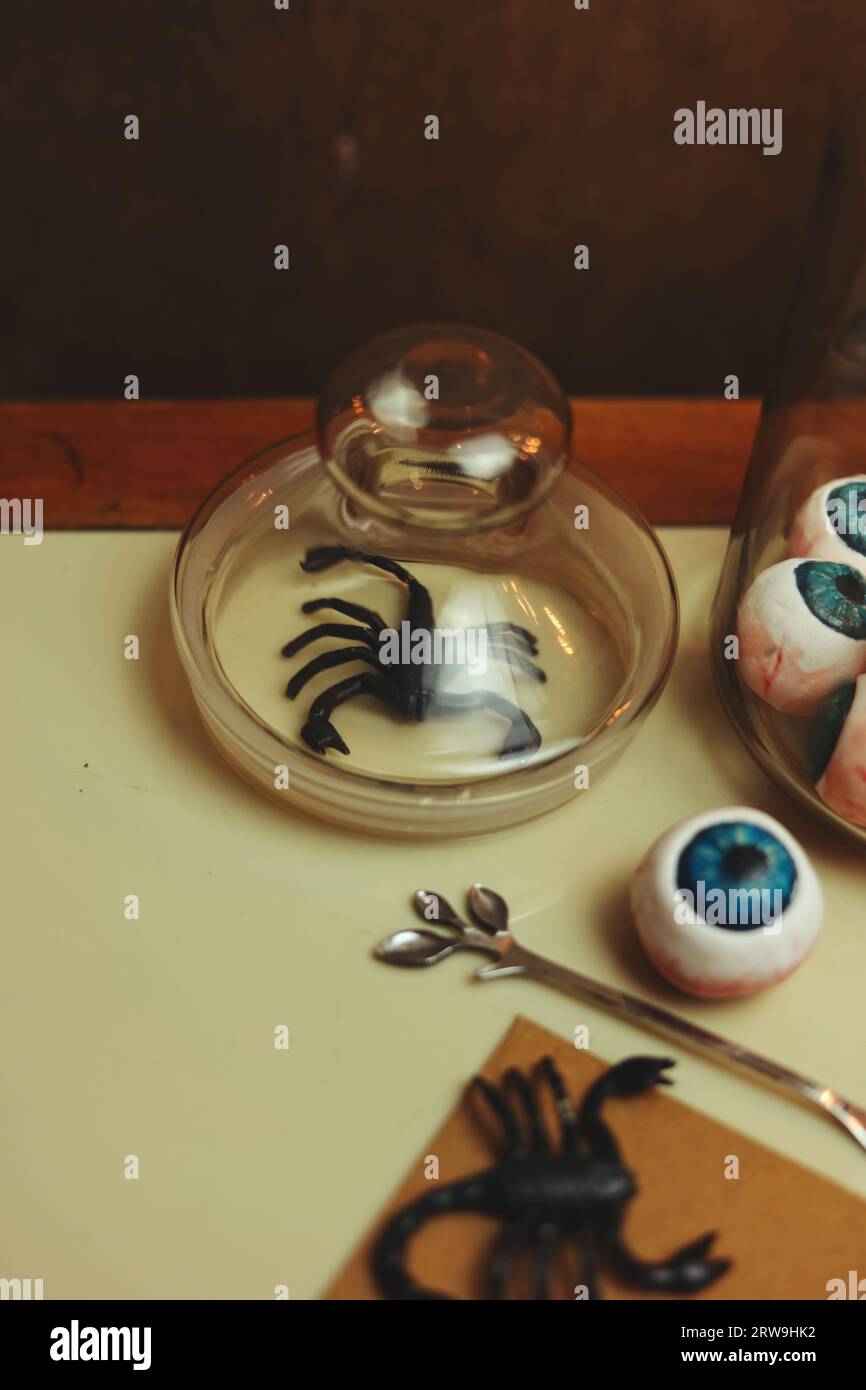 halloween natura morta con oculari, scorpioni e insetti Foto Stock
