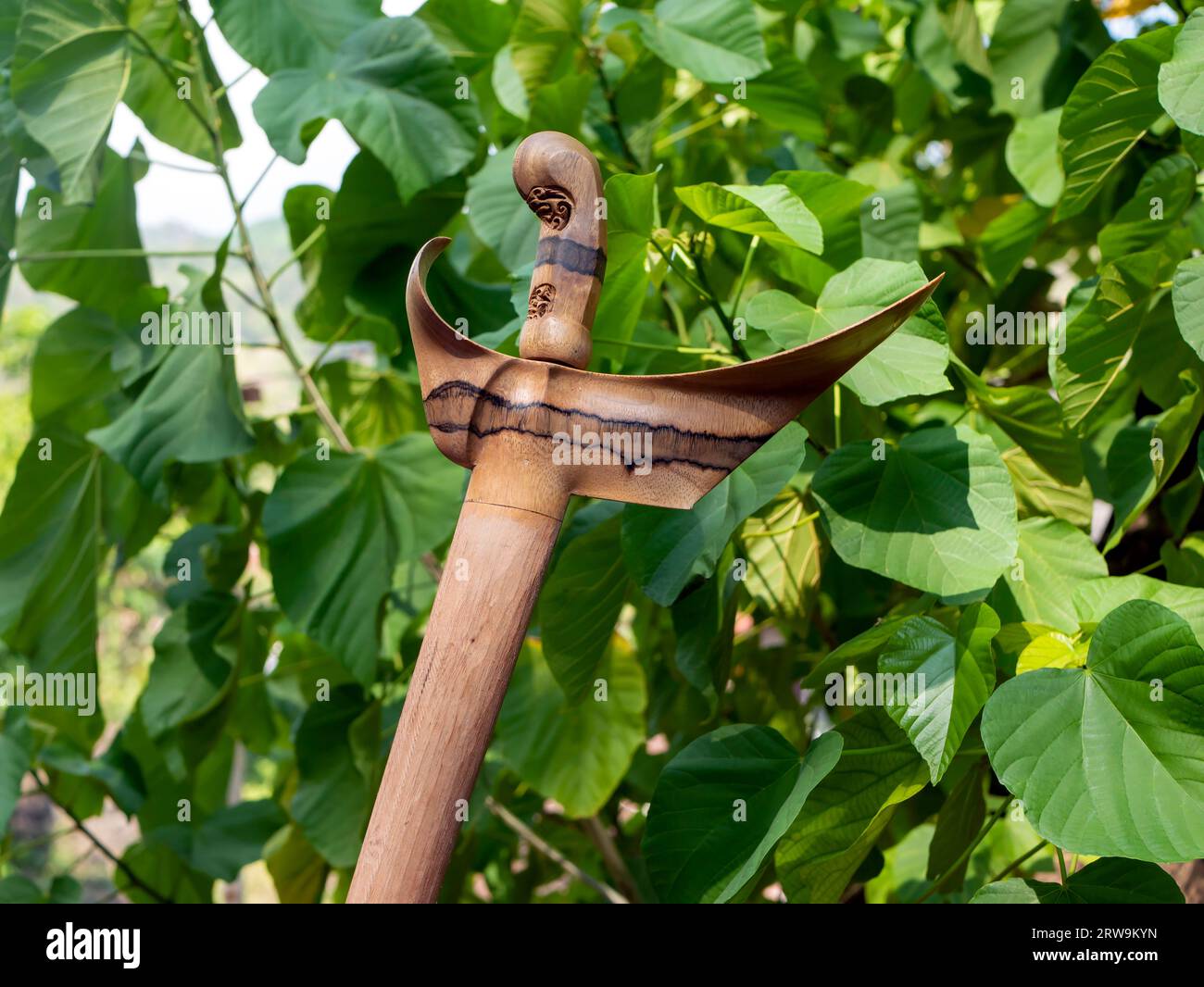 Keris, kris, coltello cerimoniale, fodero asimmetrico per pugnale dall'isola di Giava, Indonesia, realizzato in legno di Timoho, albero ospite (Kleinhovia hospita L.) Foto Stock