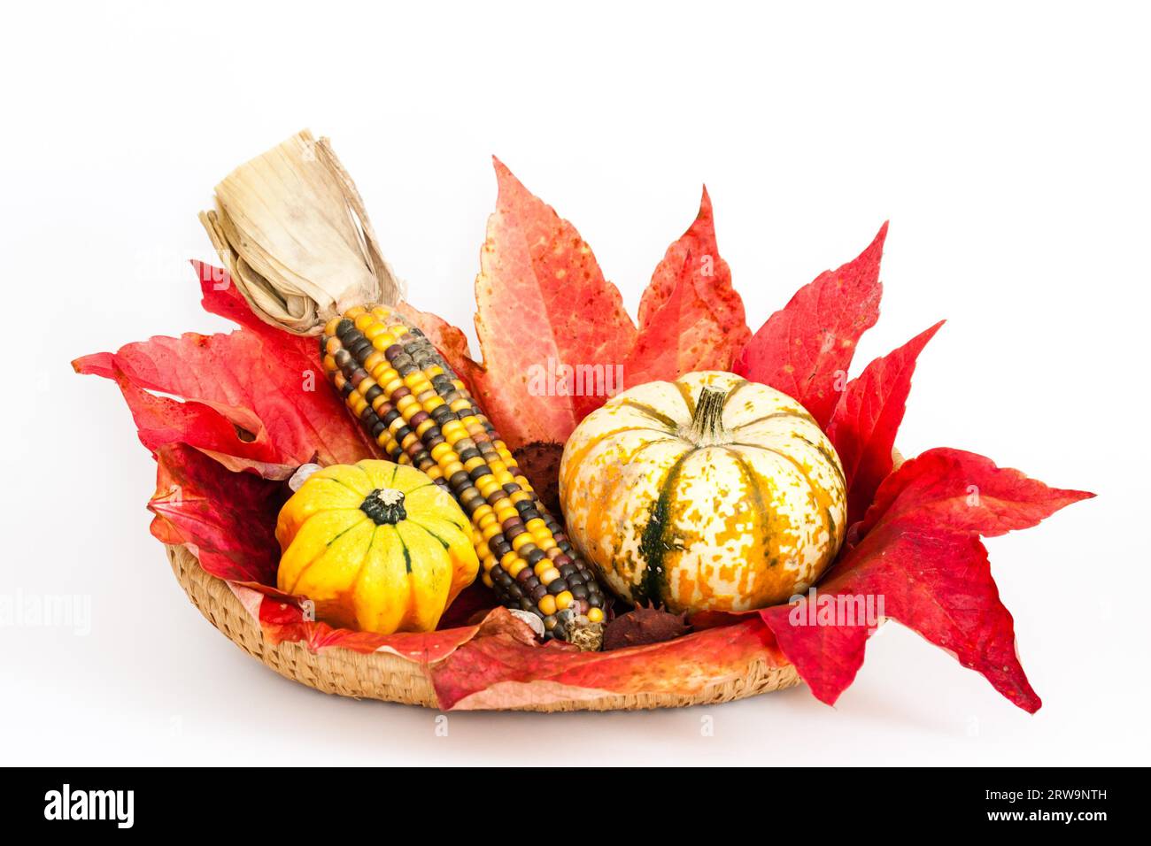 Herbstdekoration mit Kuerbissen und Maiskobben, decorazione in autunno con pannocchie di mais e zucca Foto Stock
