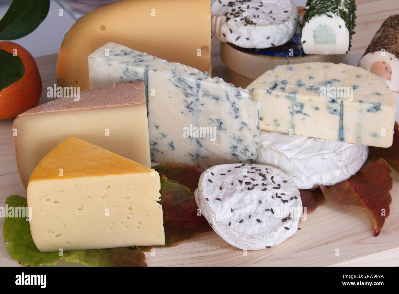 Molti tipi di formaggio su un piatto di legno Foto Stock