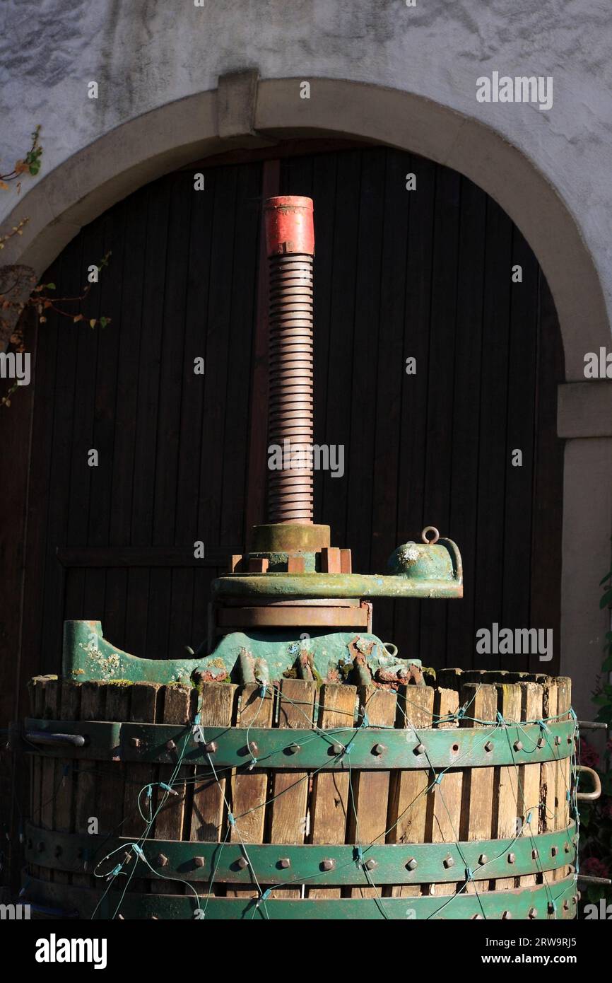 Vineria, illuminata dal sole, di fronte a un cancello della fattoria, in formato ritratto Foto Stock