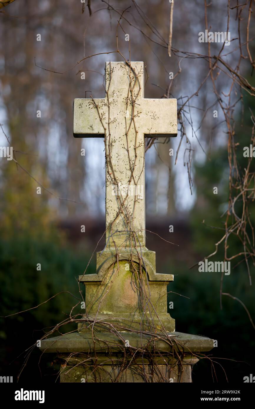 Xix secolo vintage lapide con semplice croce impigliata con liane al cimitero di Varsavia, Polonia Foto Stock